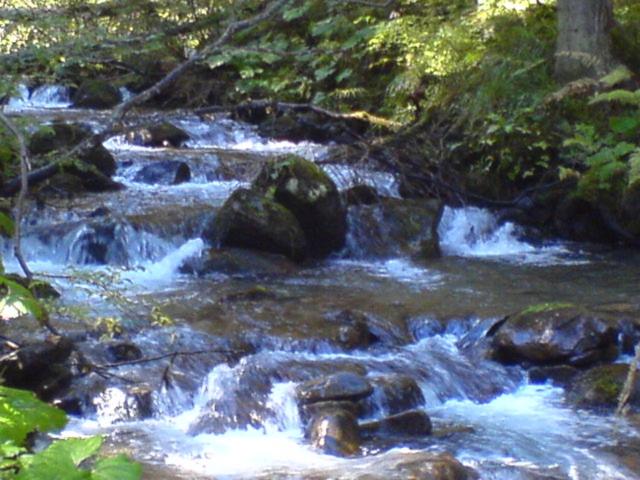 Аня Рома, photo 75