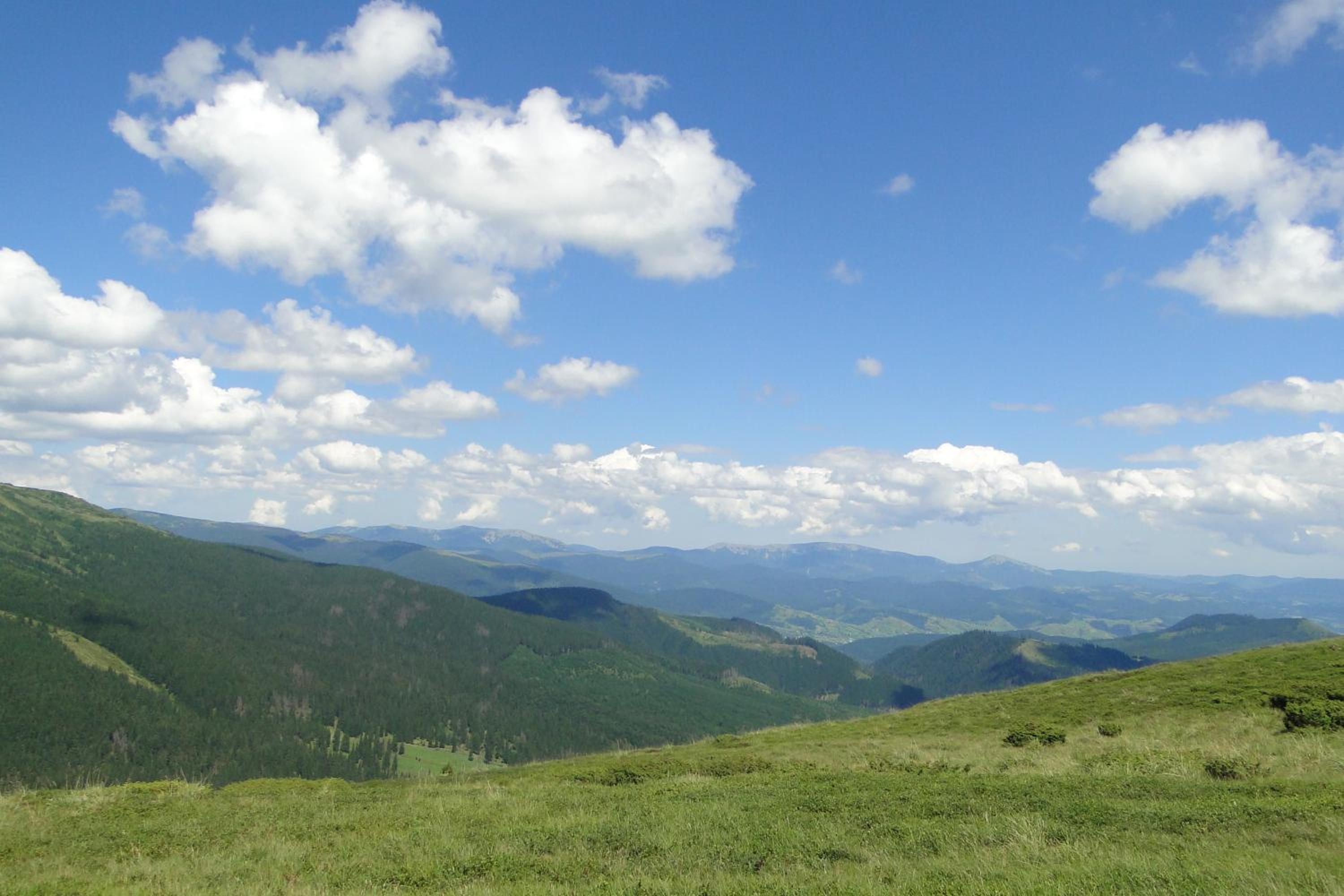 Аня Рома, photo 86