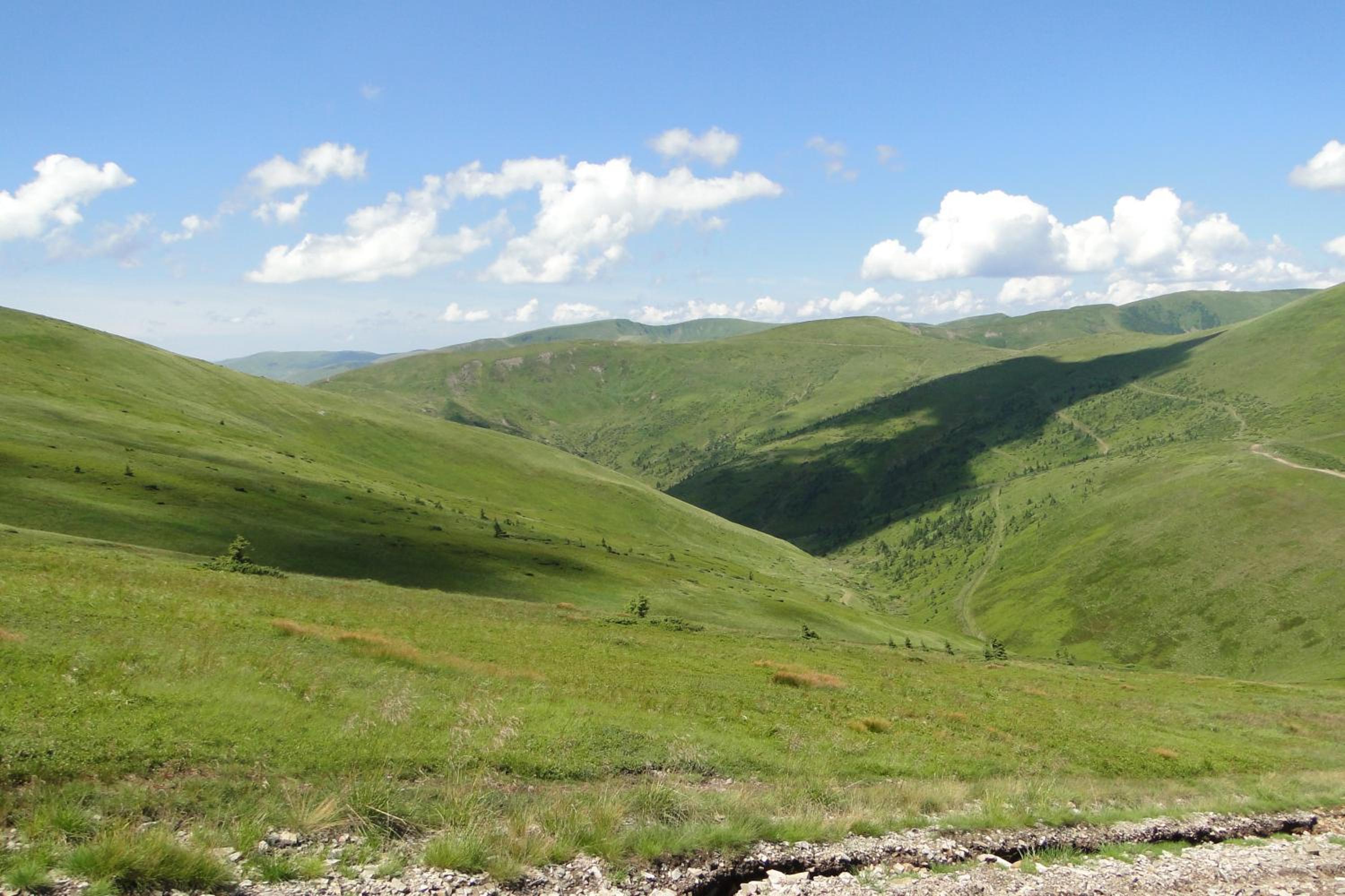 Аня Рома, photo 117