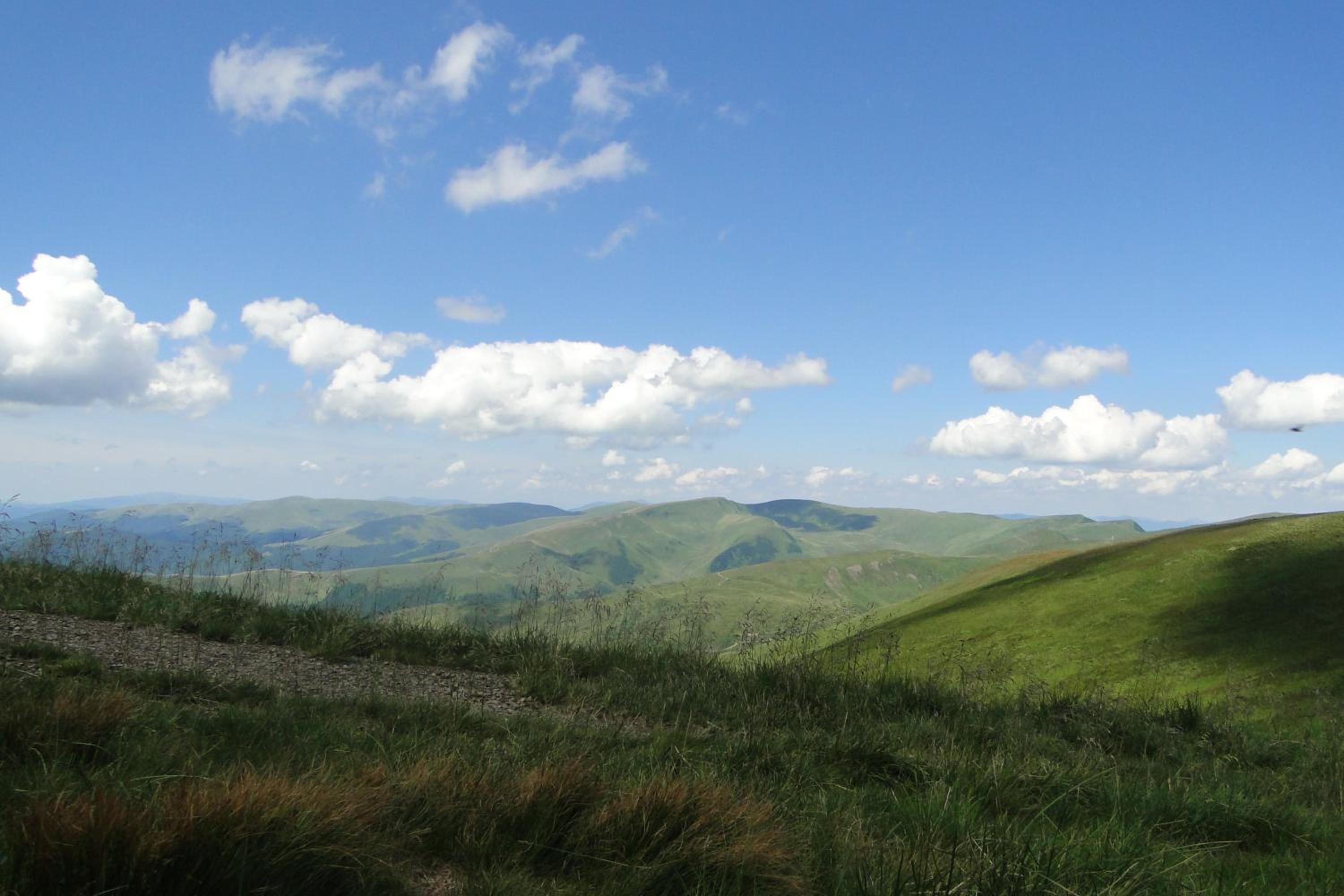Аня Рома, photo 8