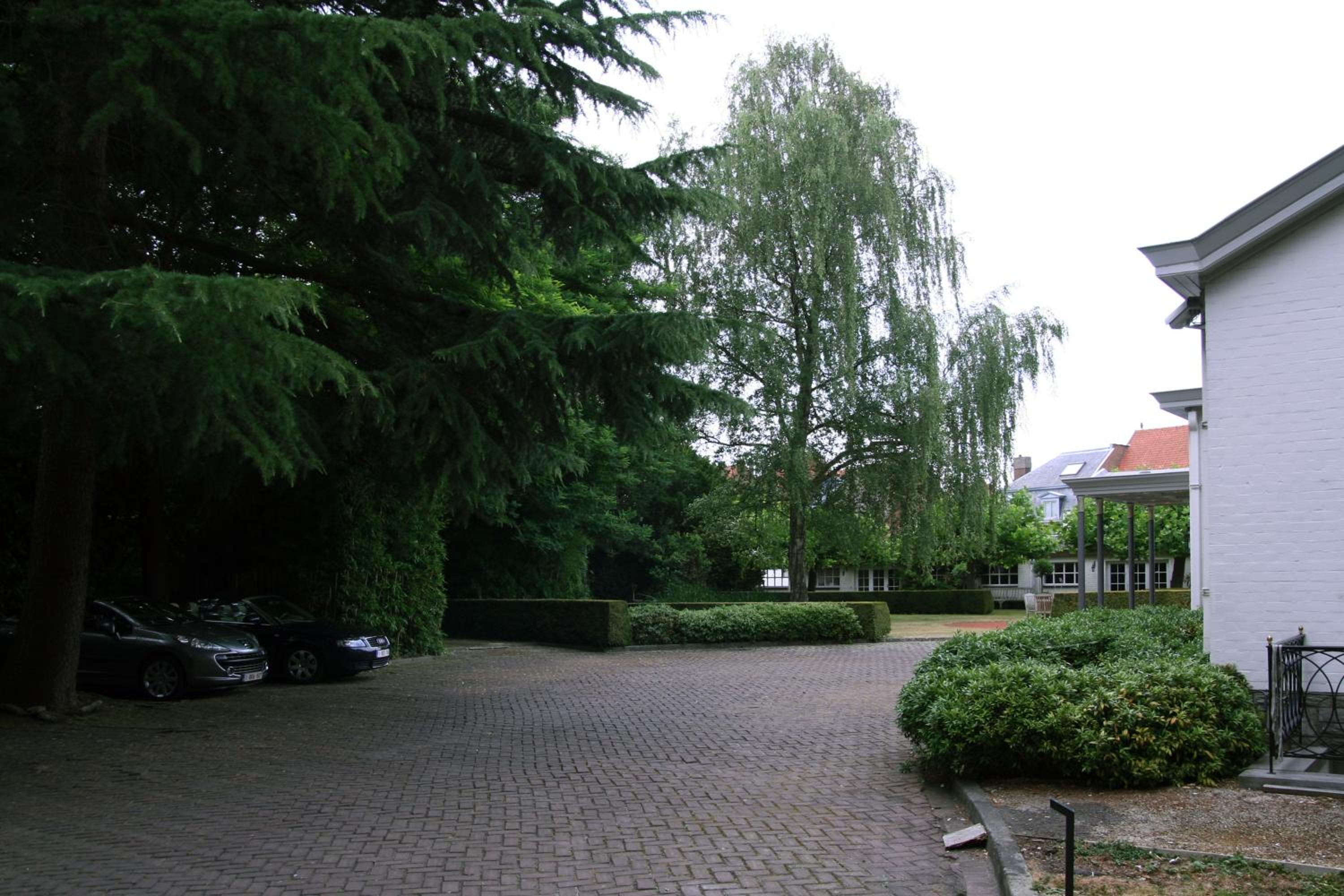 Photo 52