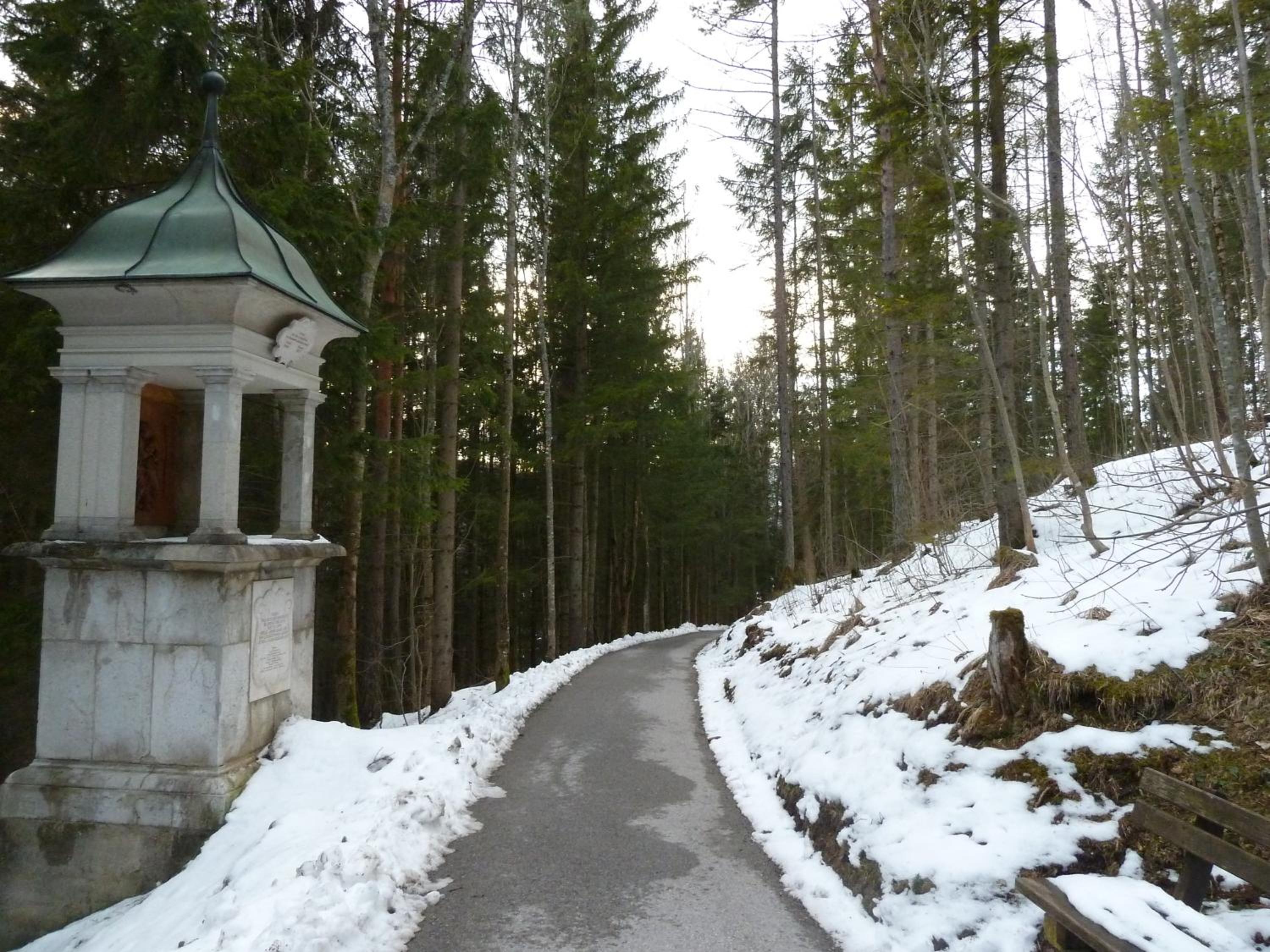 Photo 42
