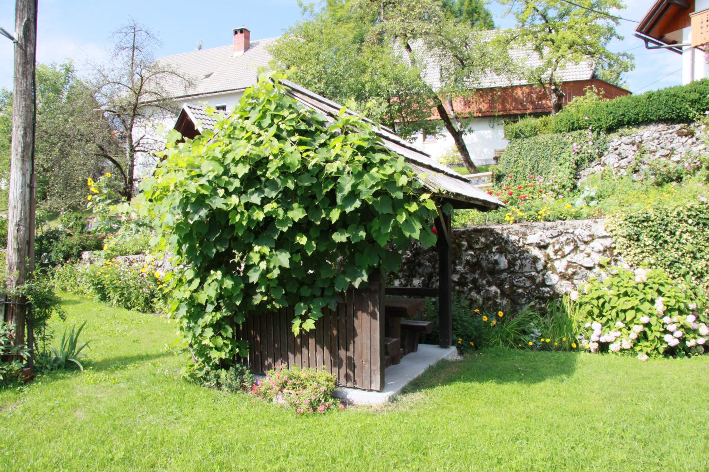 Photo 15