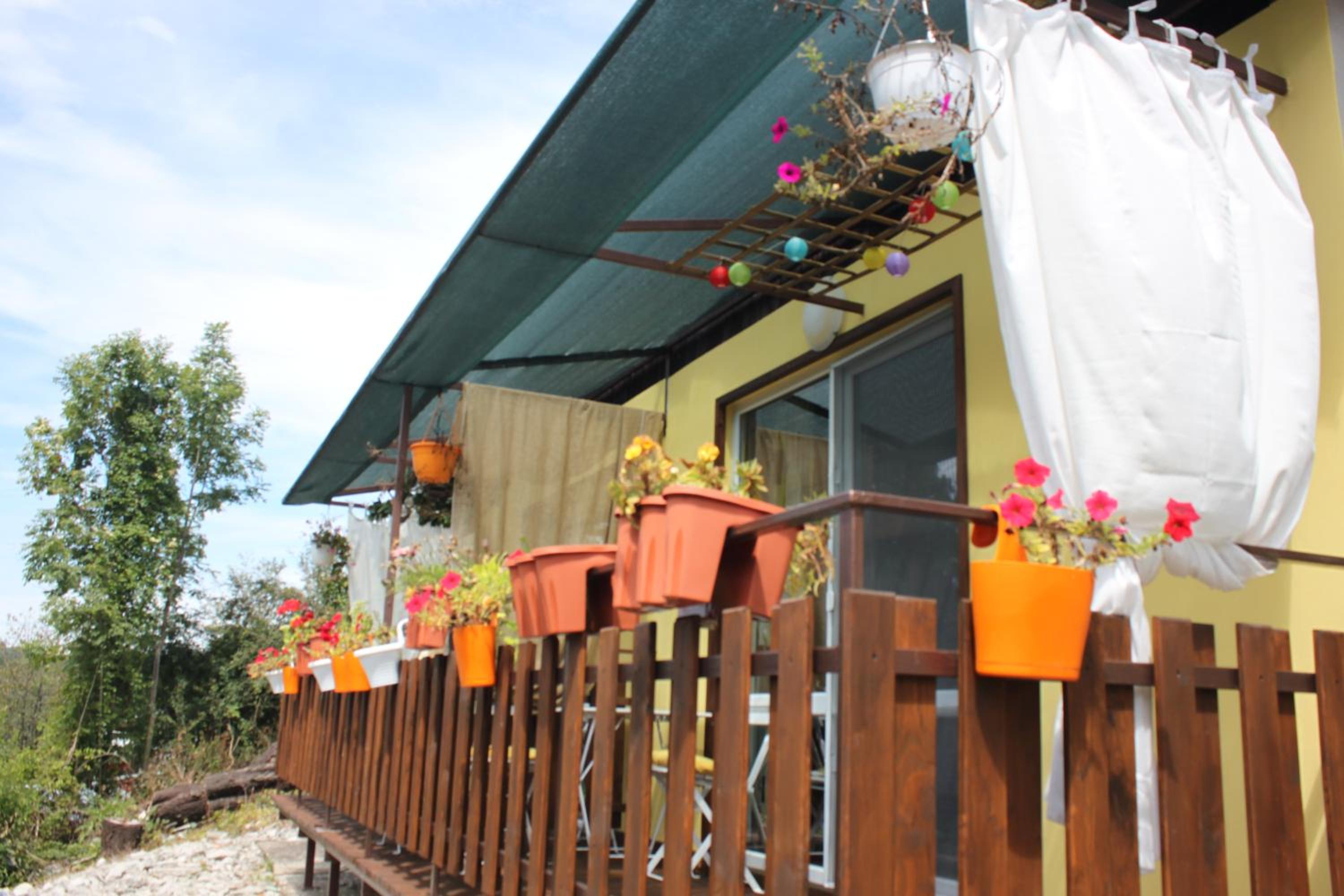 Daskalov Bungalows