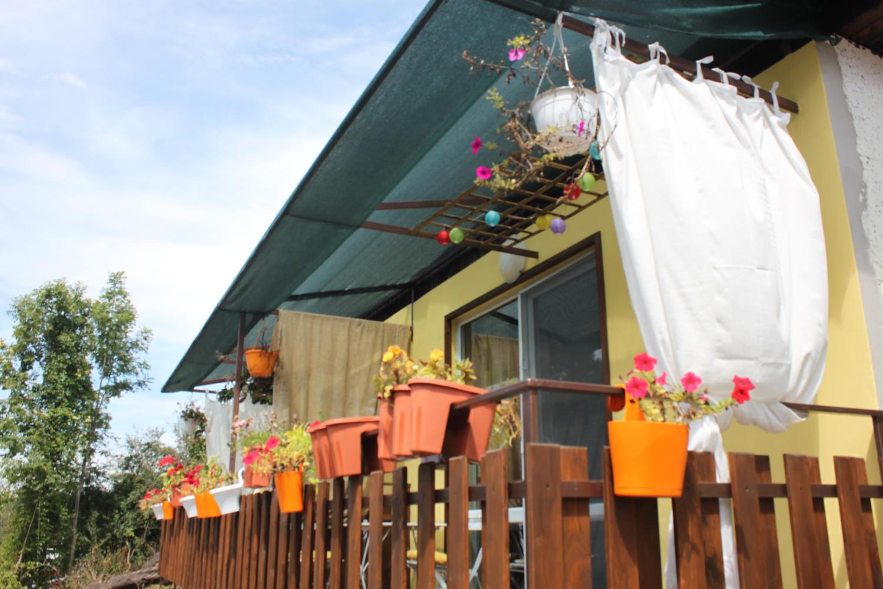 Daskalov Bungalows