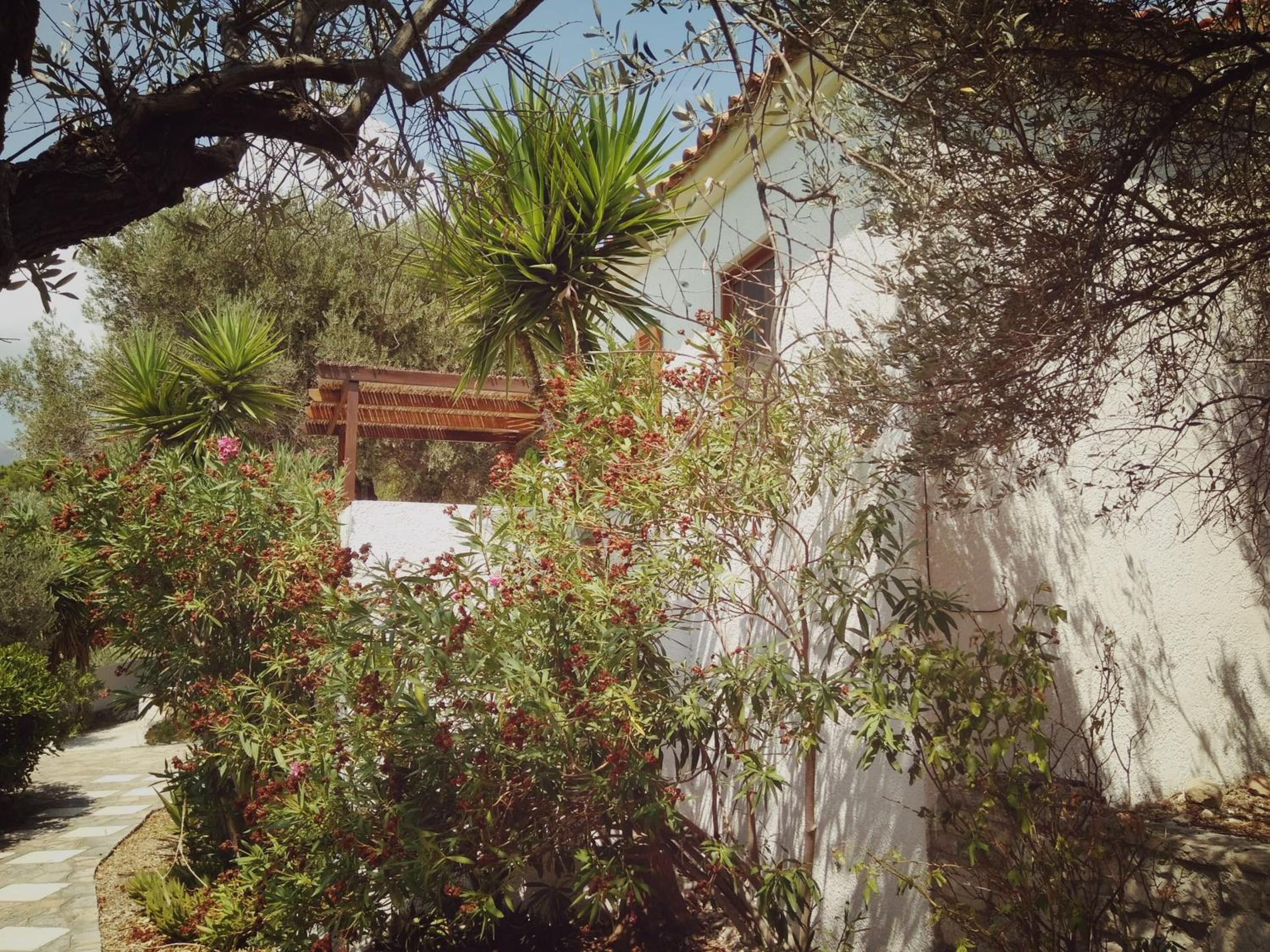 Photo 47