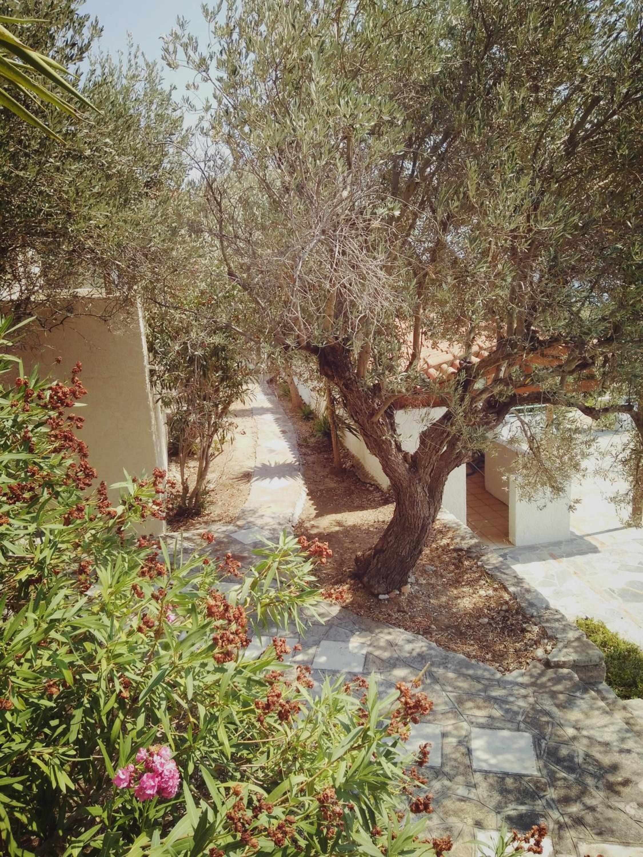 Photo 42