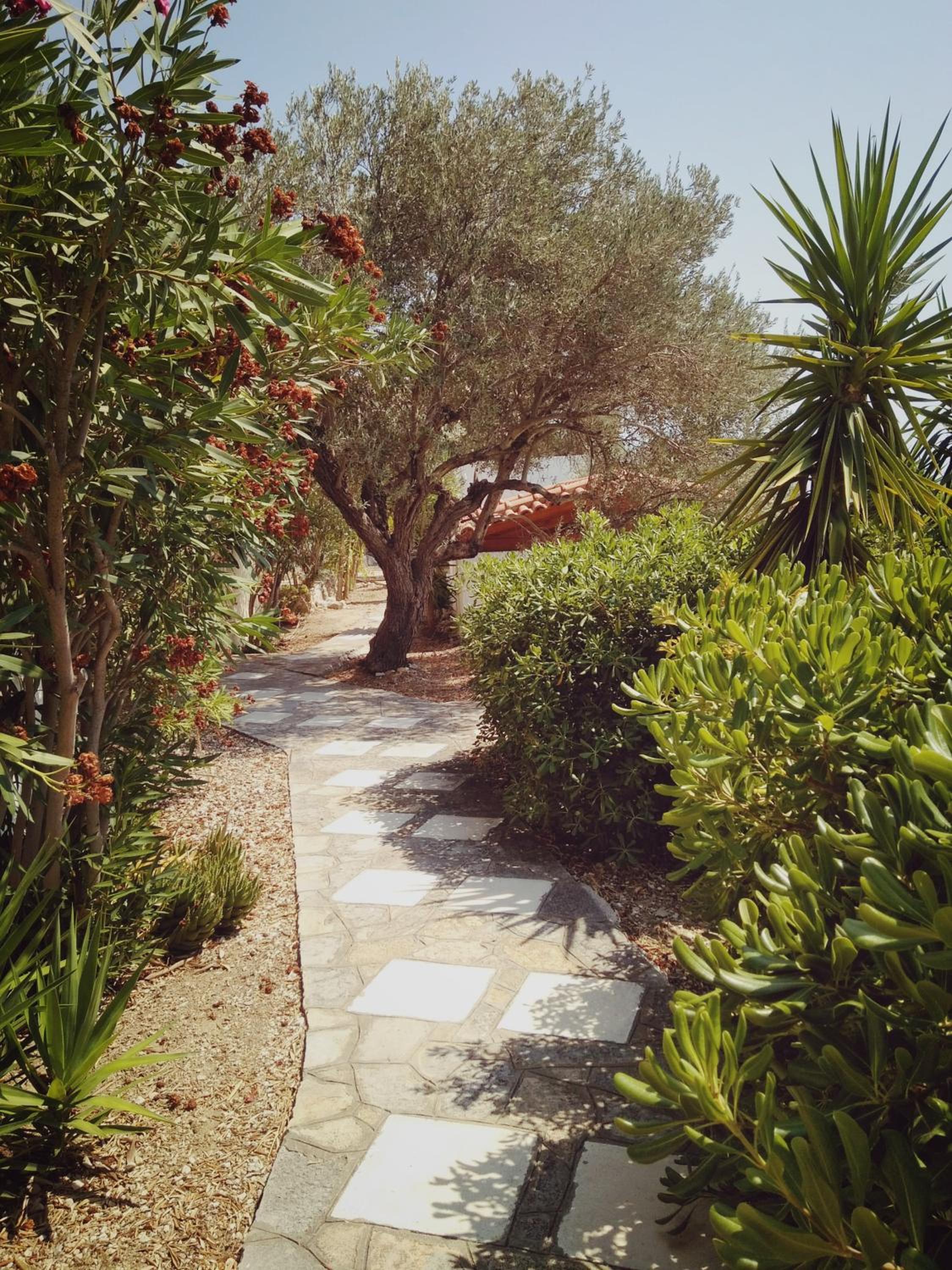 Photo 46