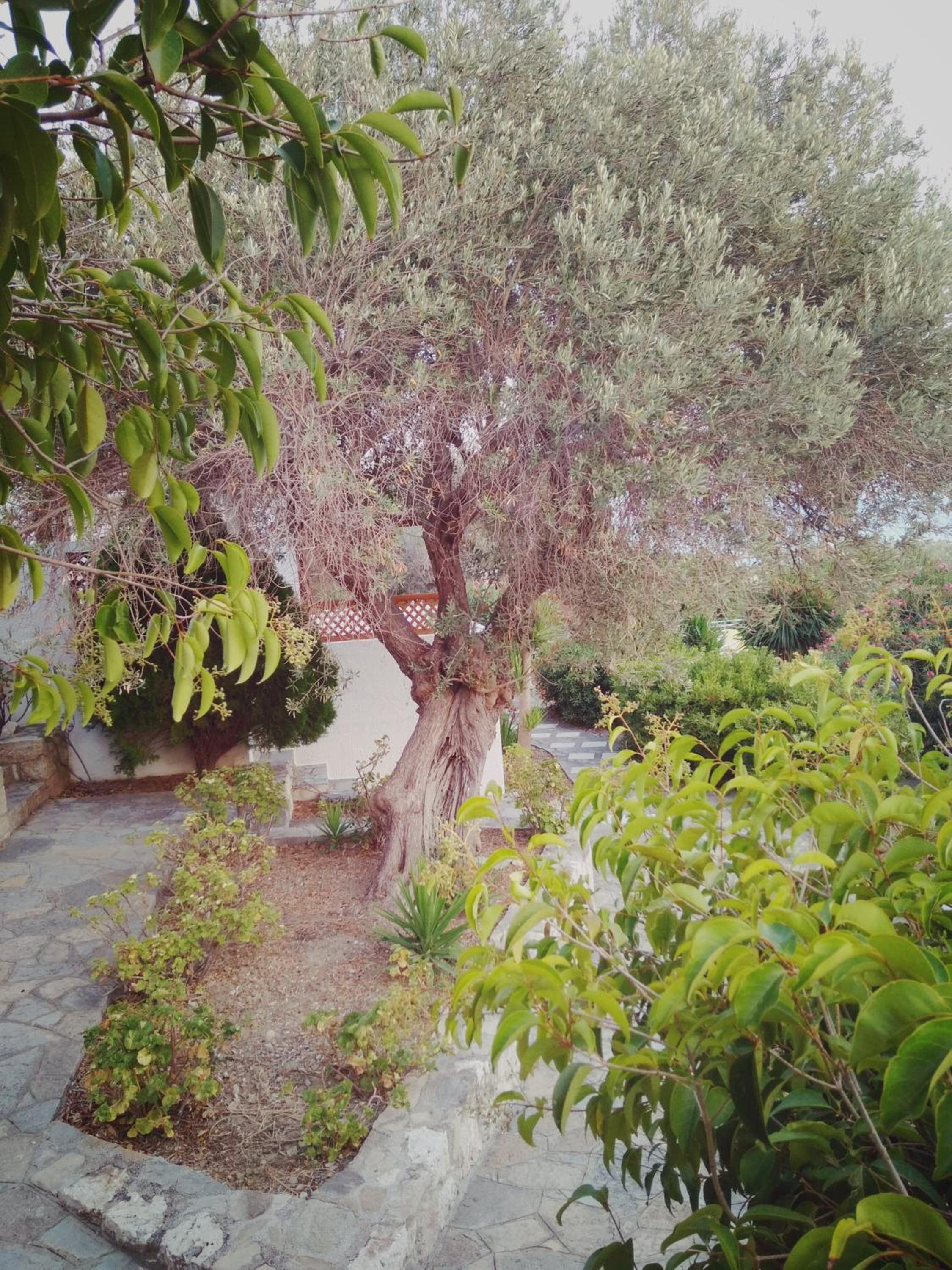 Photo 23