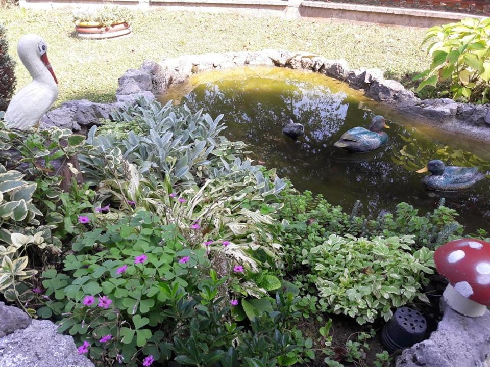 Photo 33