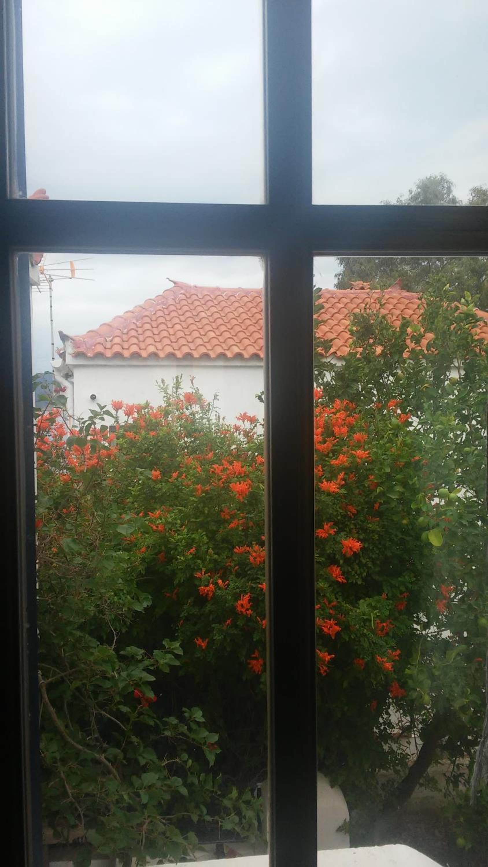 Window To The Aegean view 5