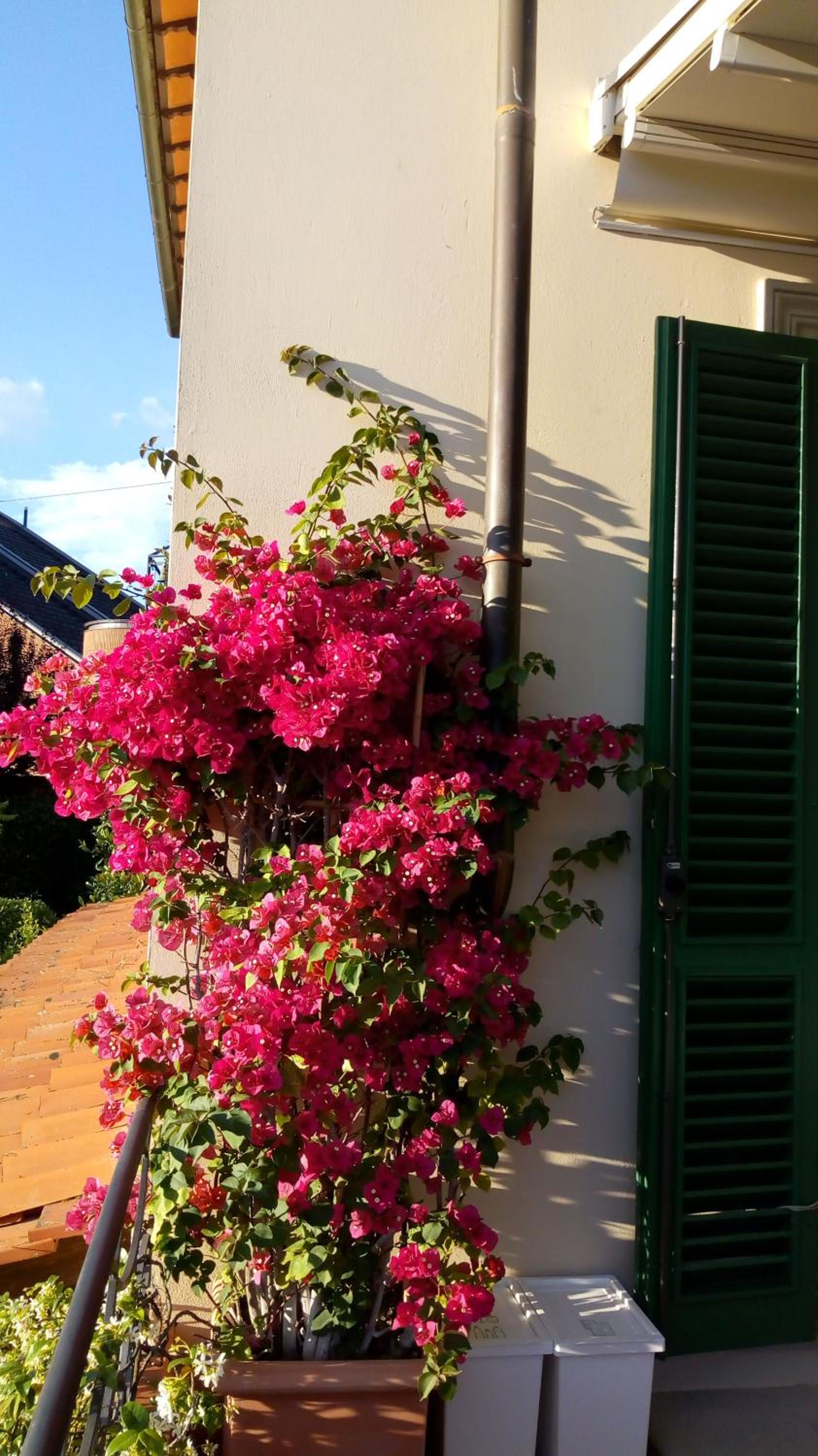 Villa Le Facezie B&B