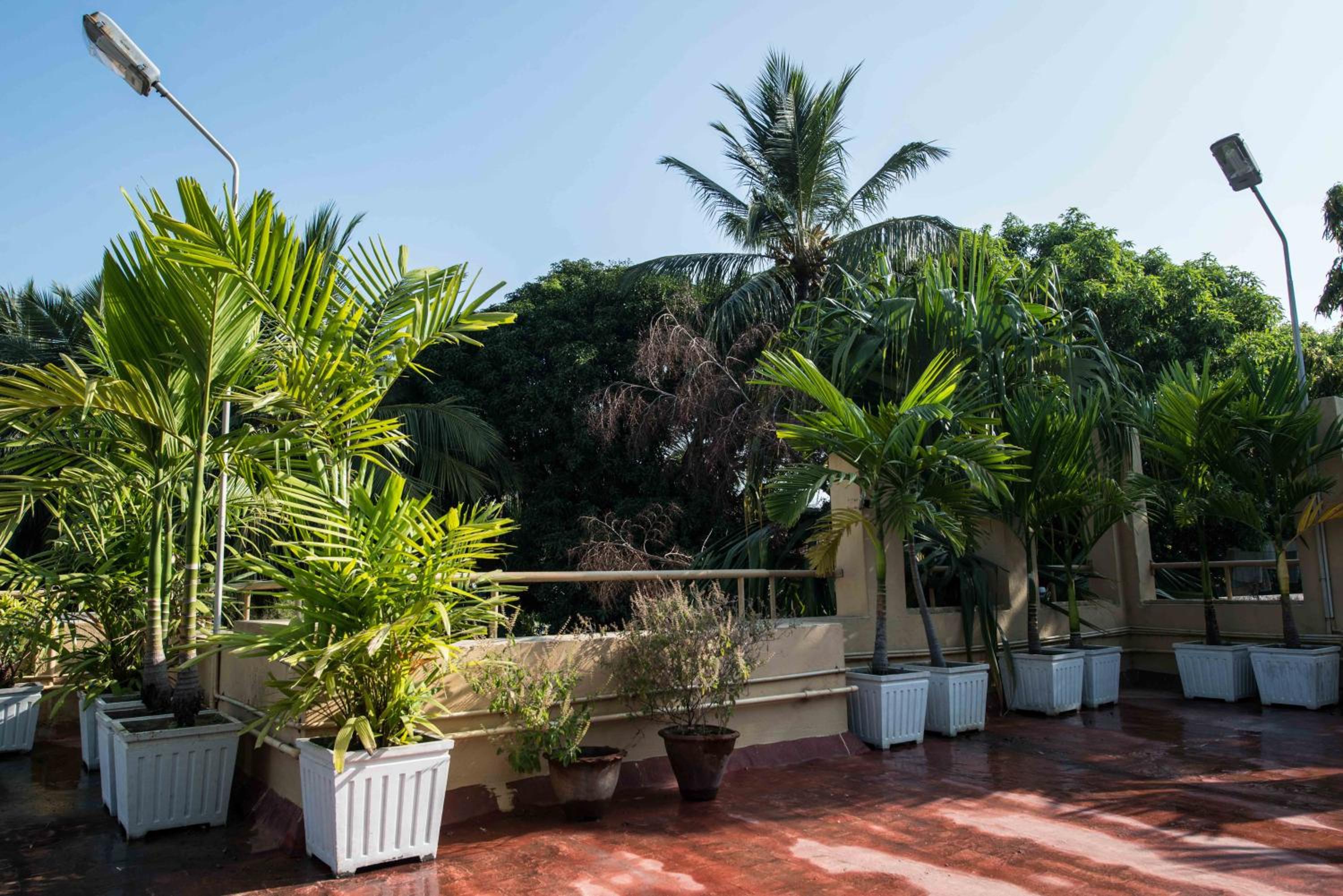 Hanu Reddy Residences Wallace Garden