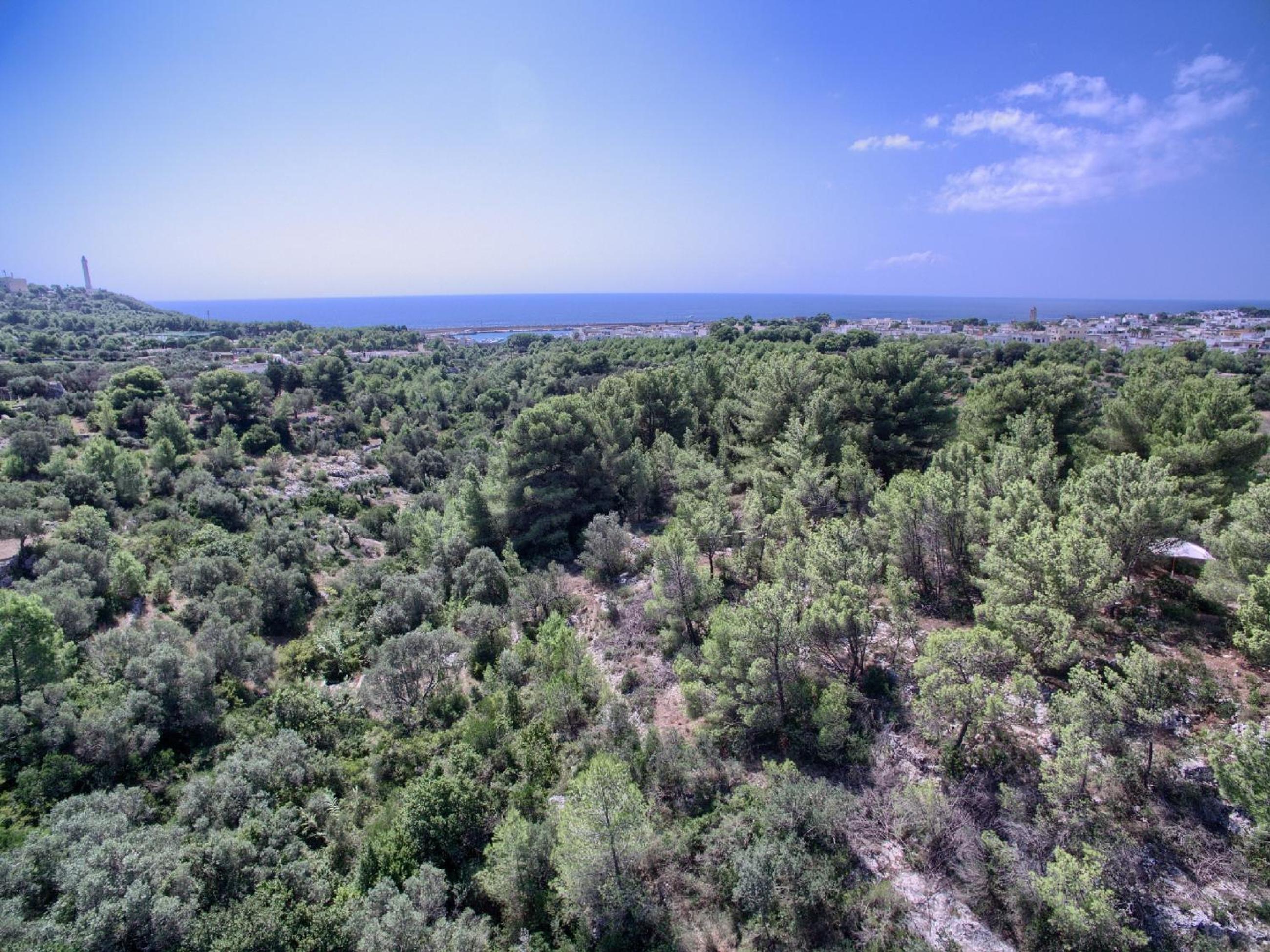 La Macchia by LoveSud photo 4