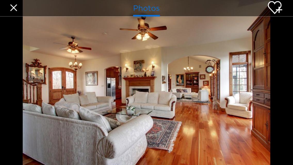 Affordable Luxury Mansion view 5