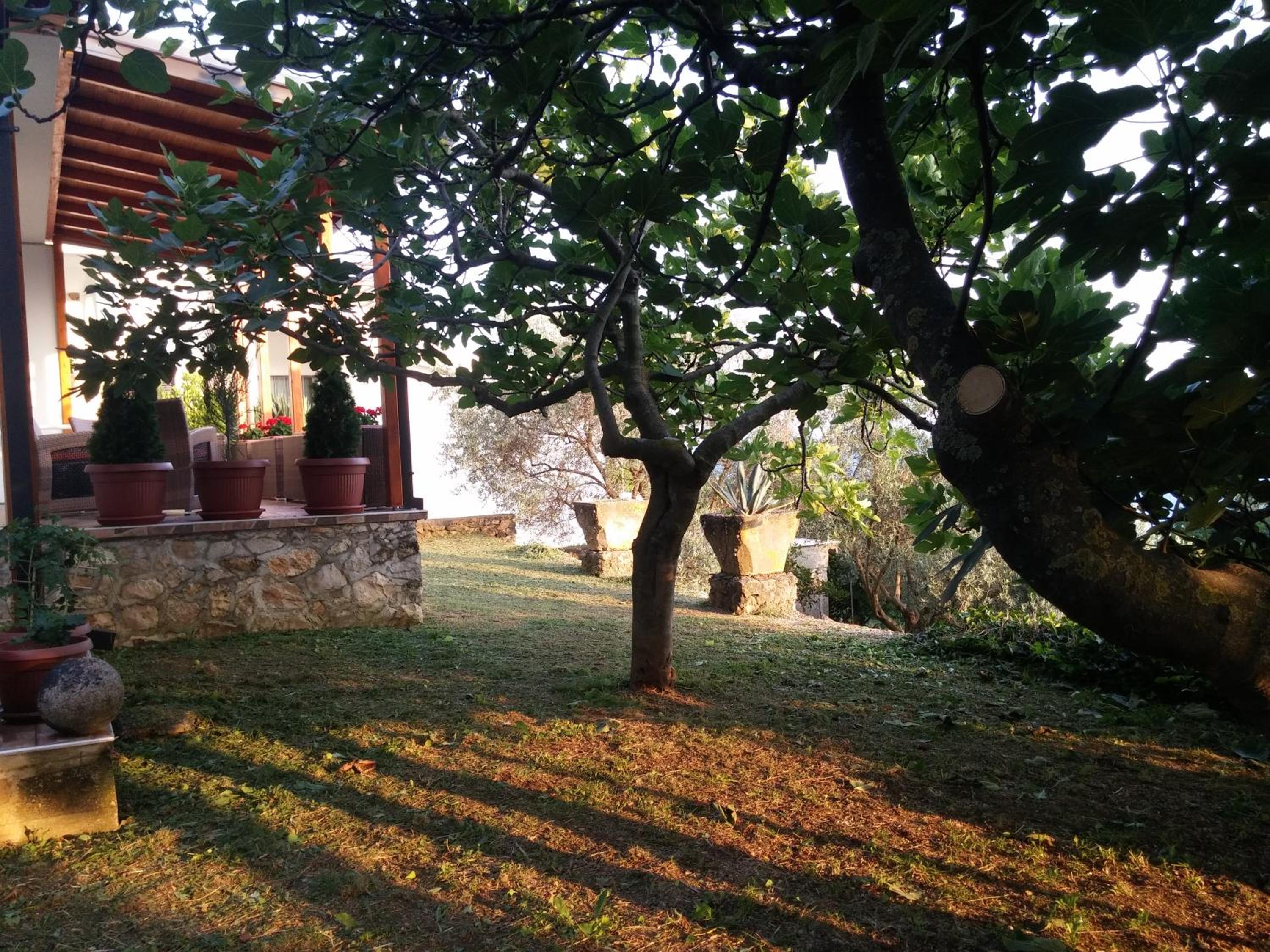 Photo 33