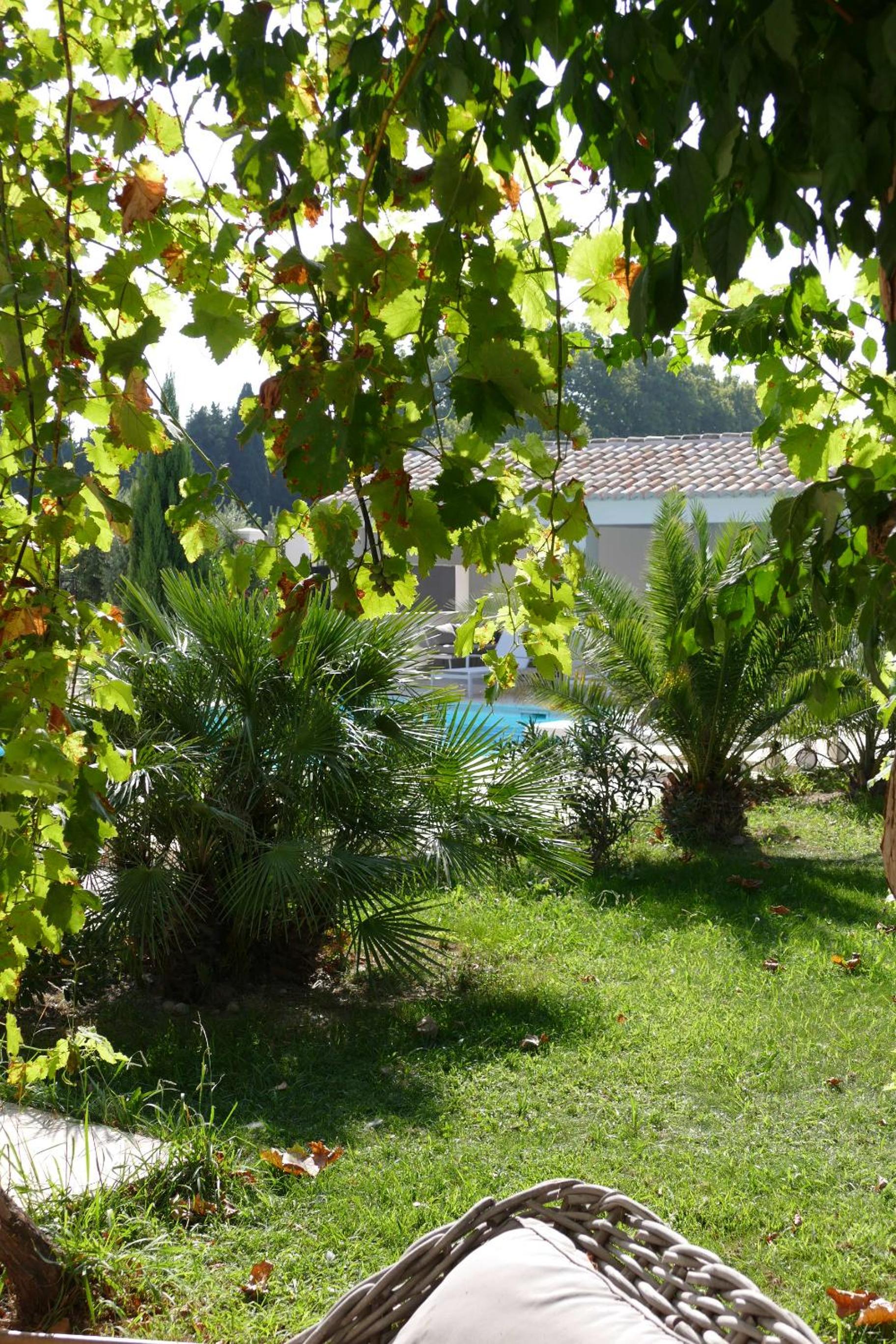 Photo 23