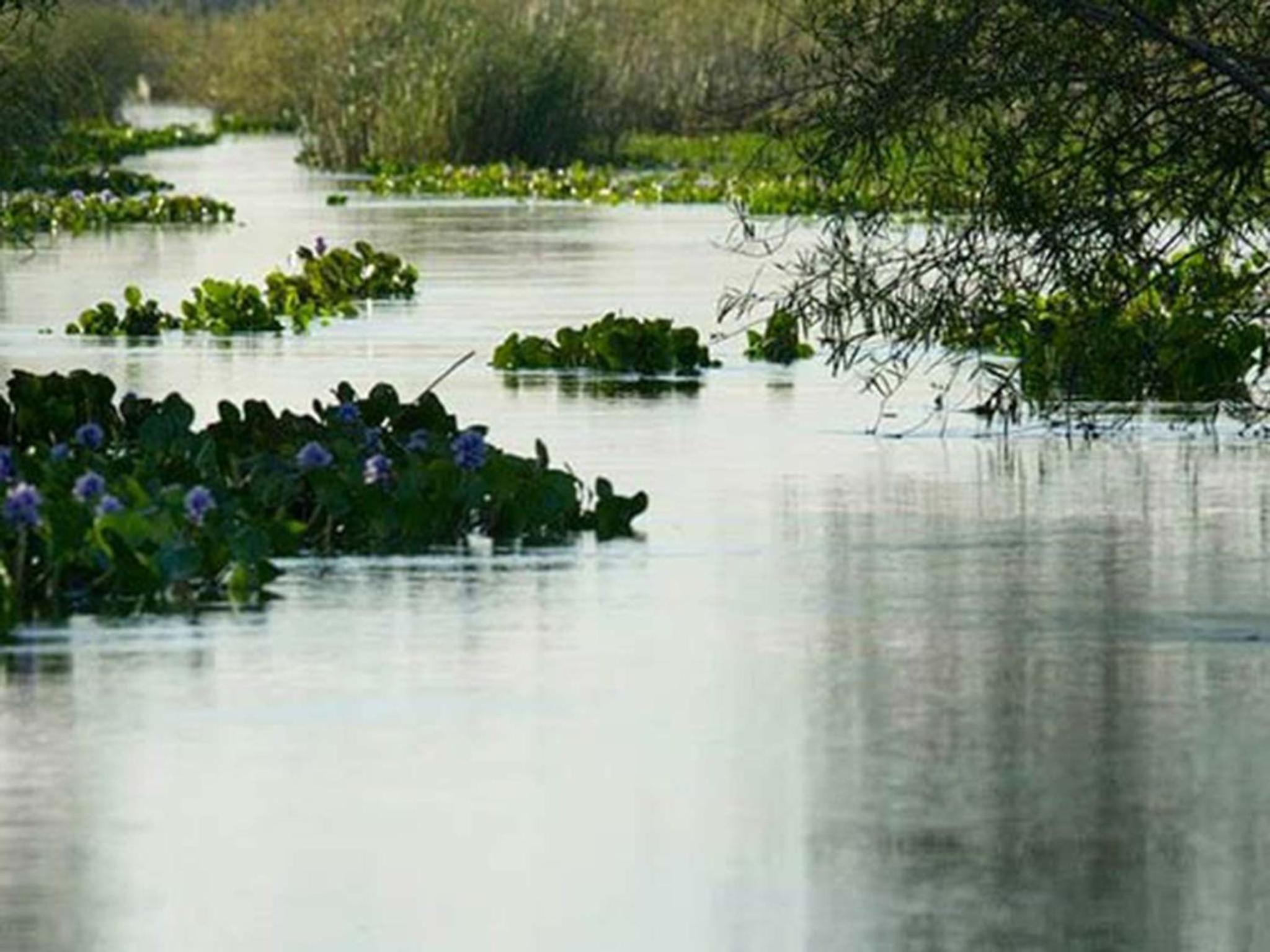 Posada de la Laguna