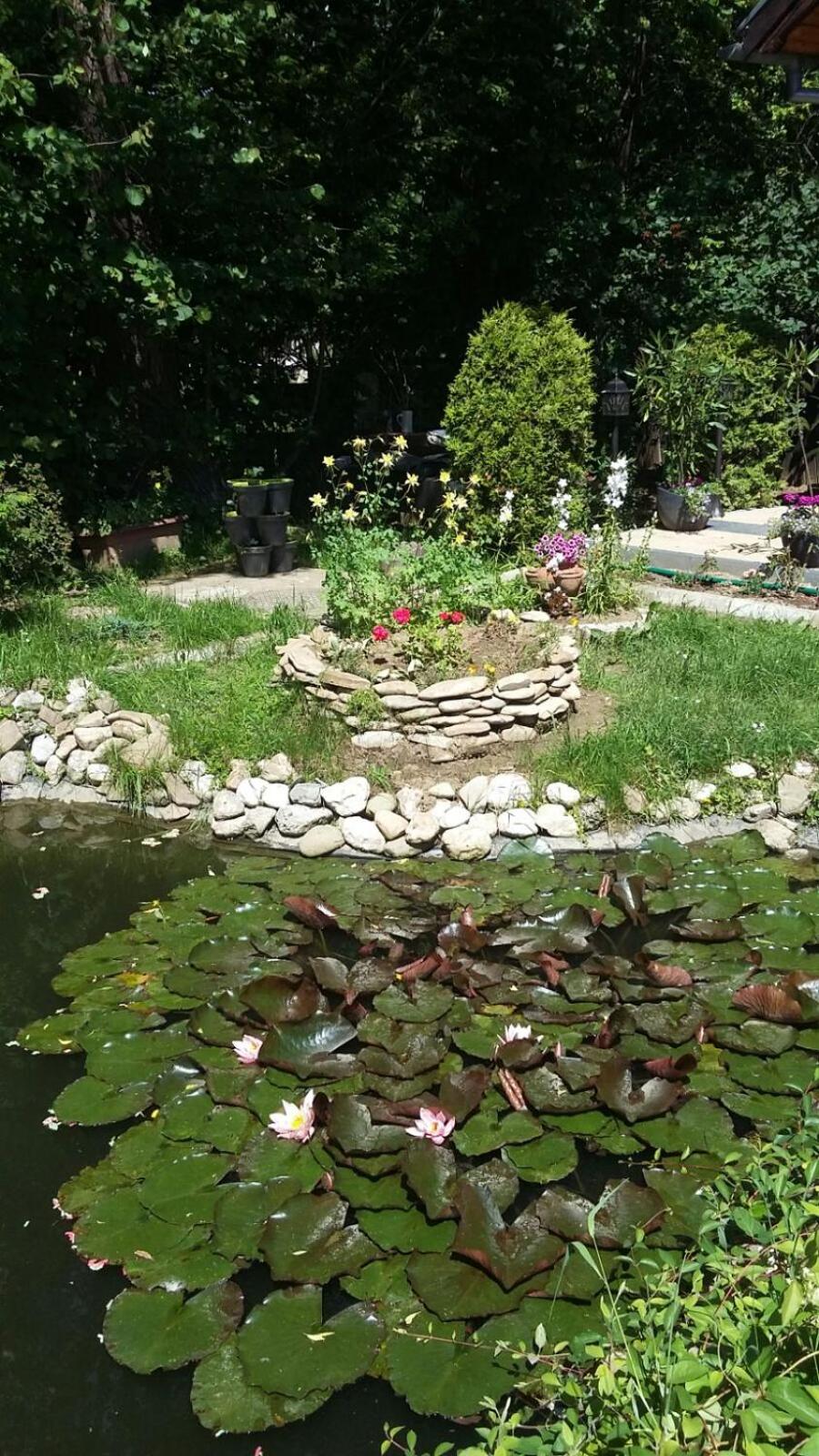 Photo 47
