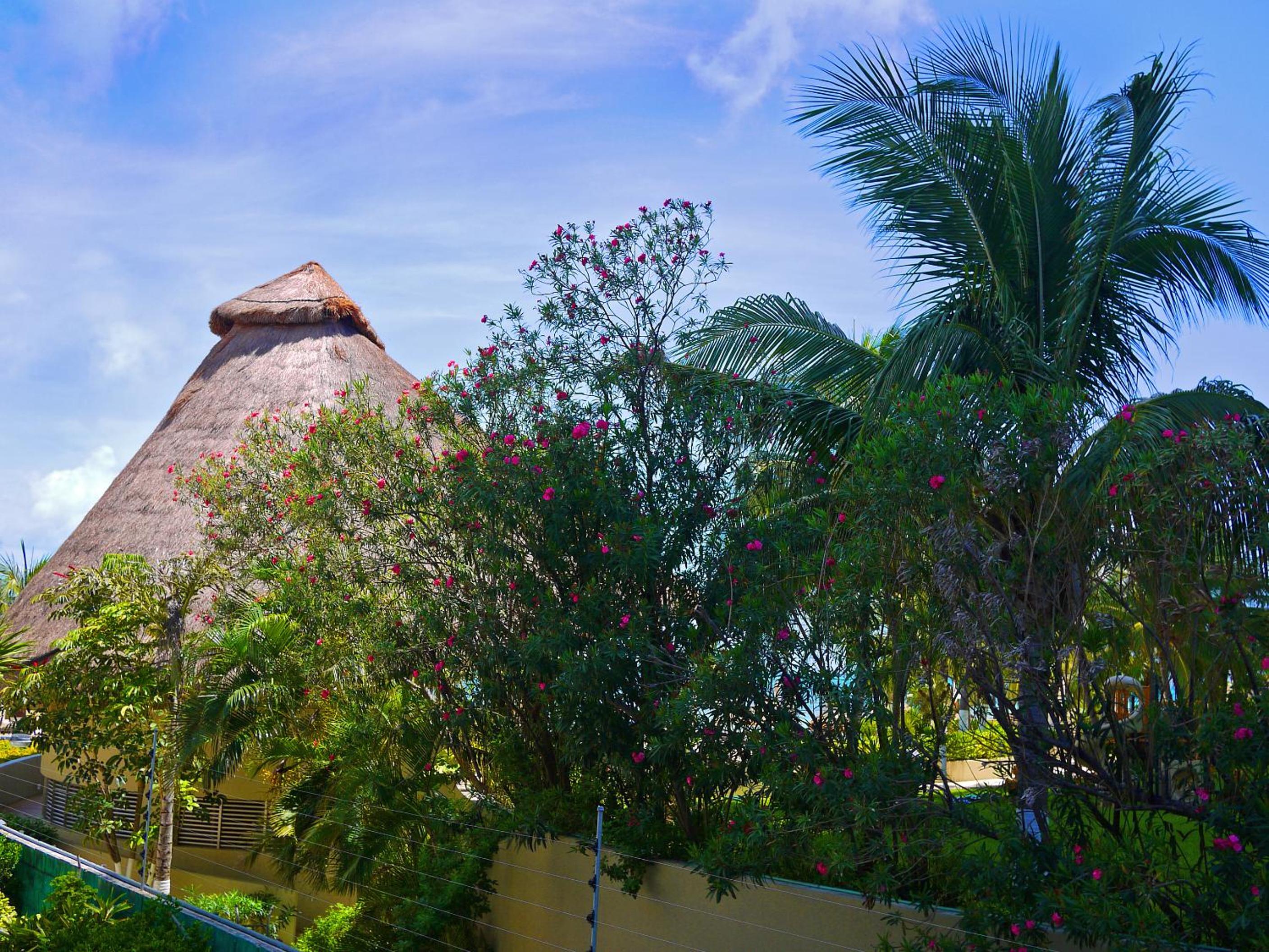 Cancun Beachfront Condo