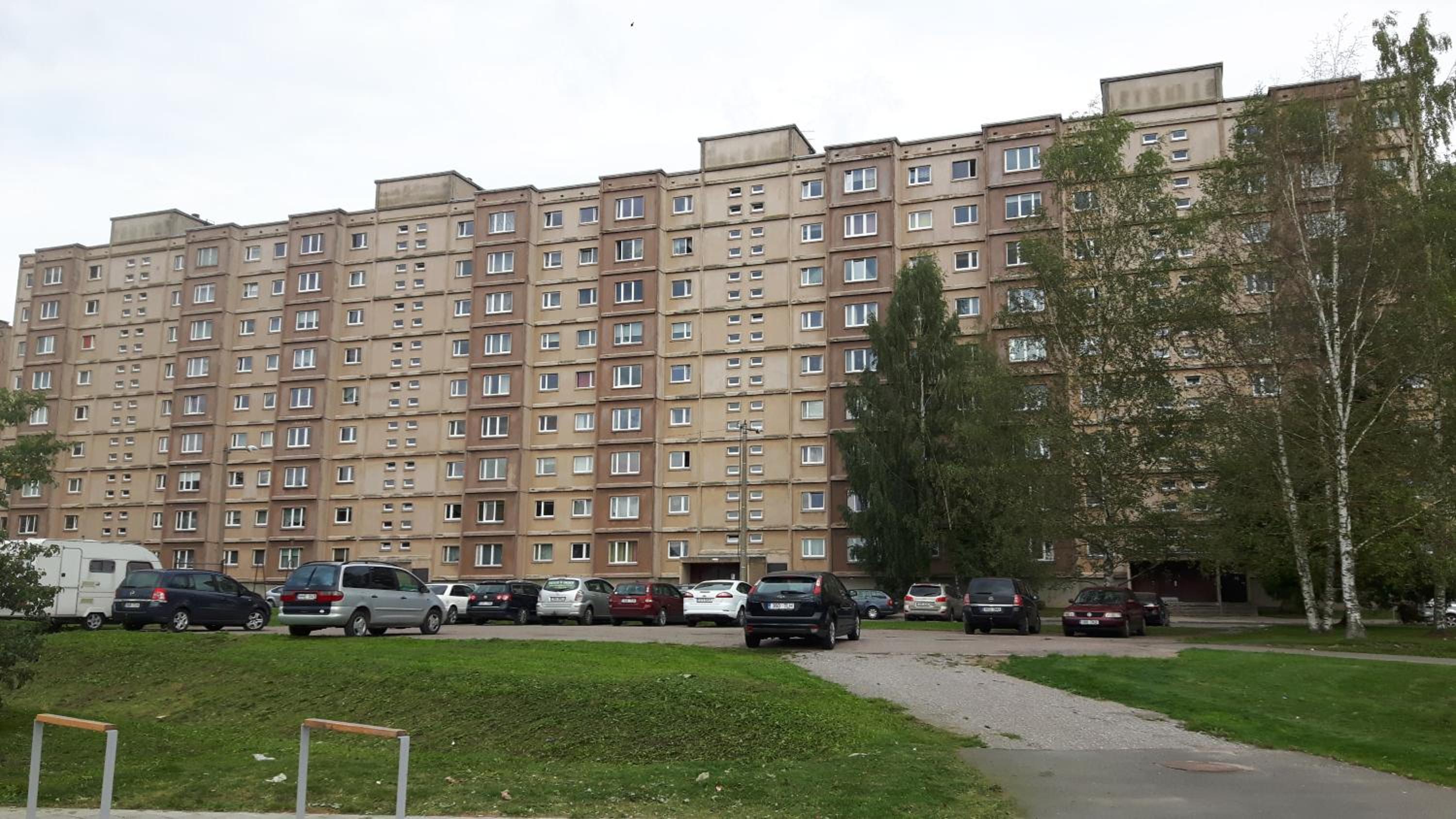 Photo 11