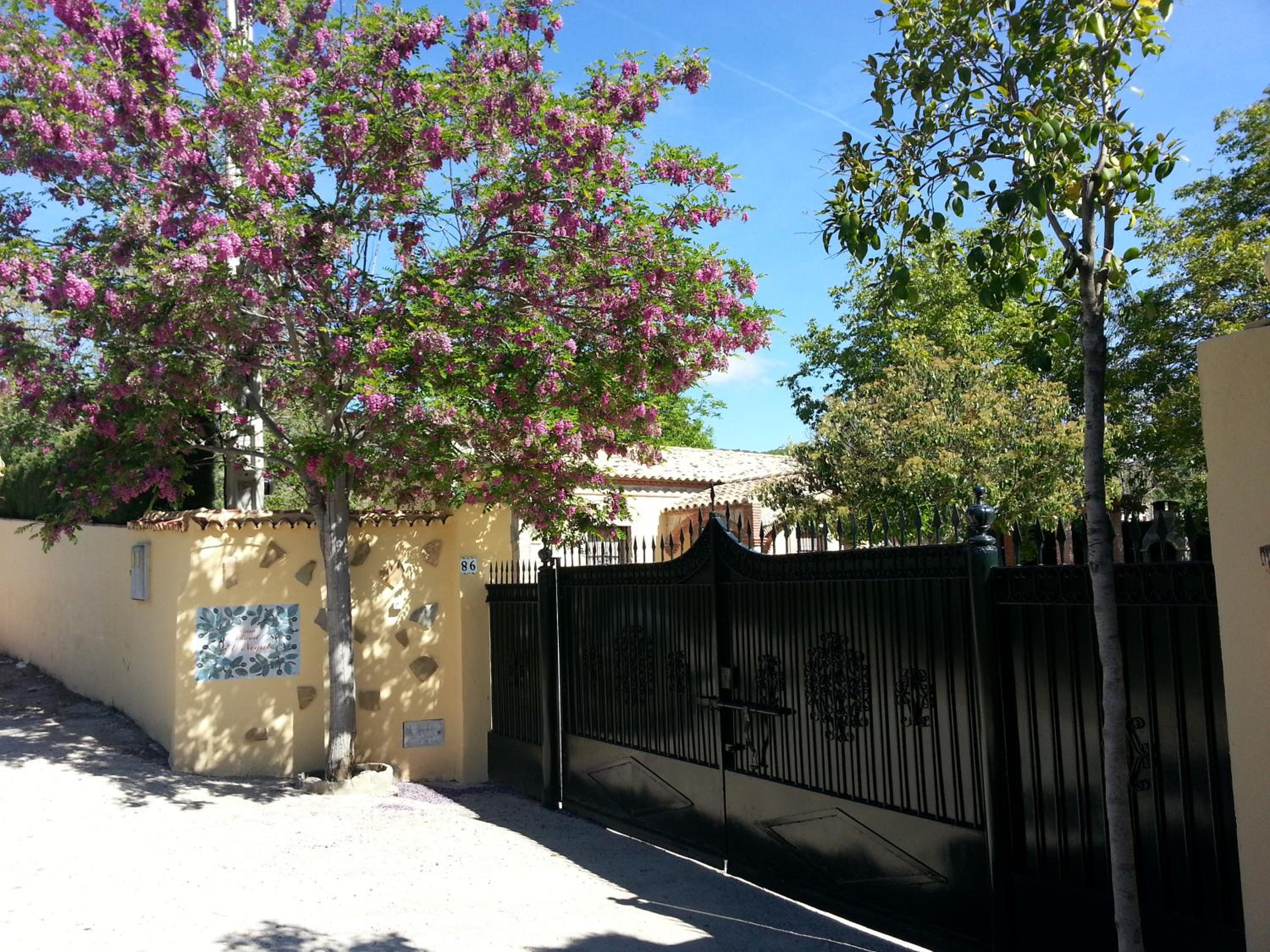 Photo 44