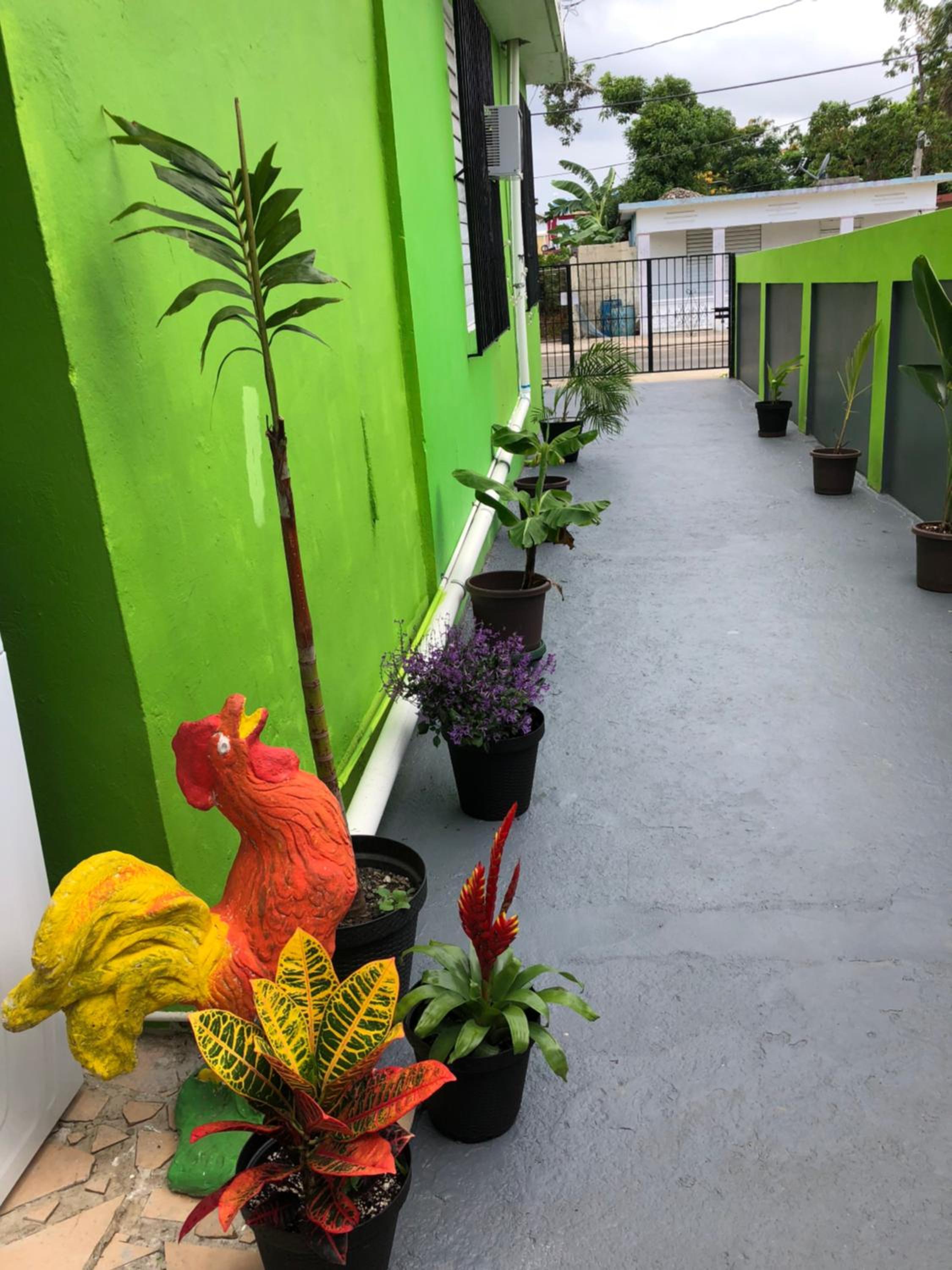 Vieques Good Vibe Guest House