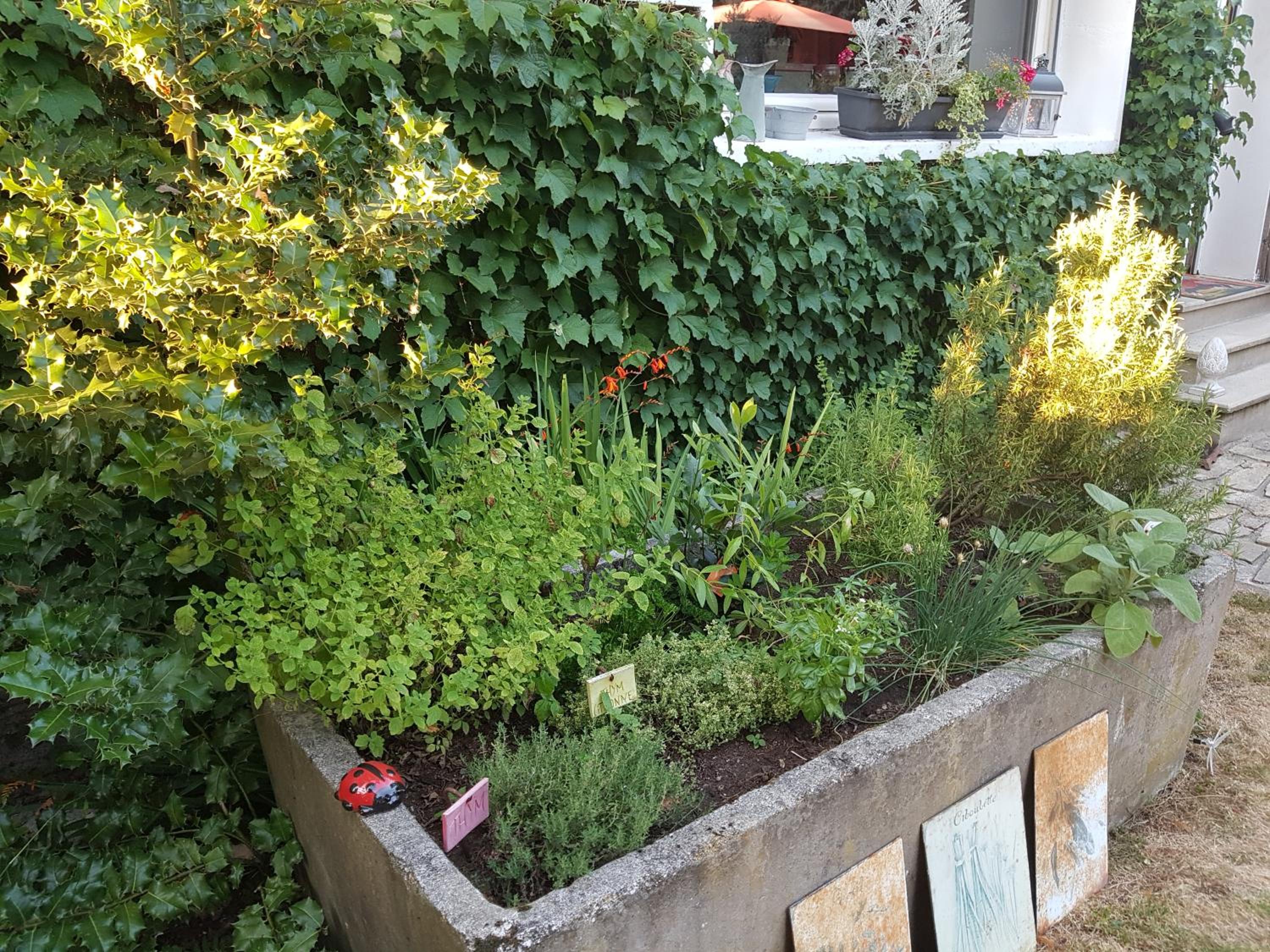 Photo 9