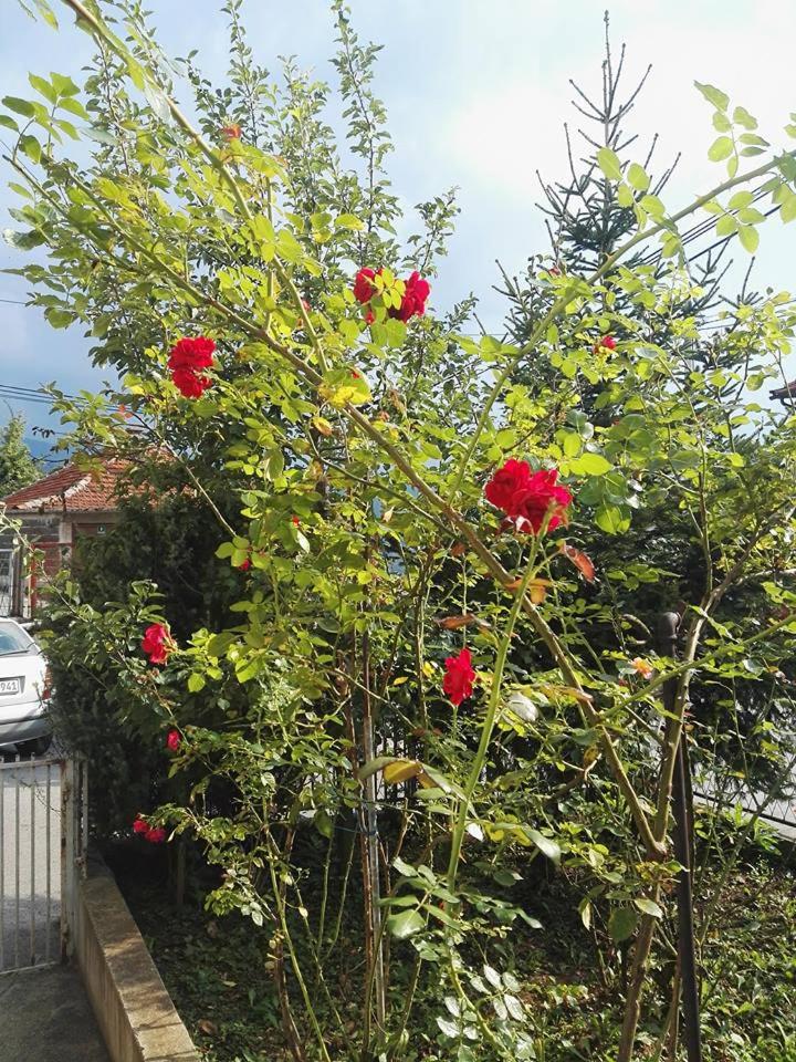 Apartment Panorama