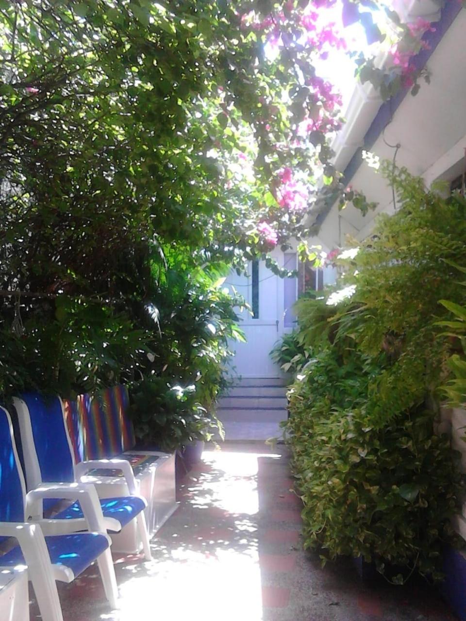 Vianova's Place Posada Nativa view 5