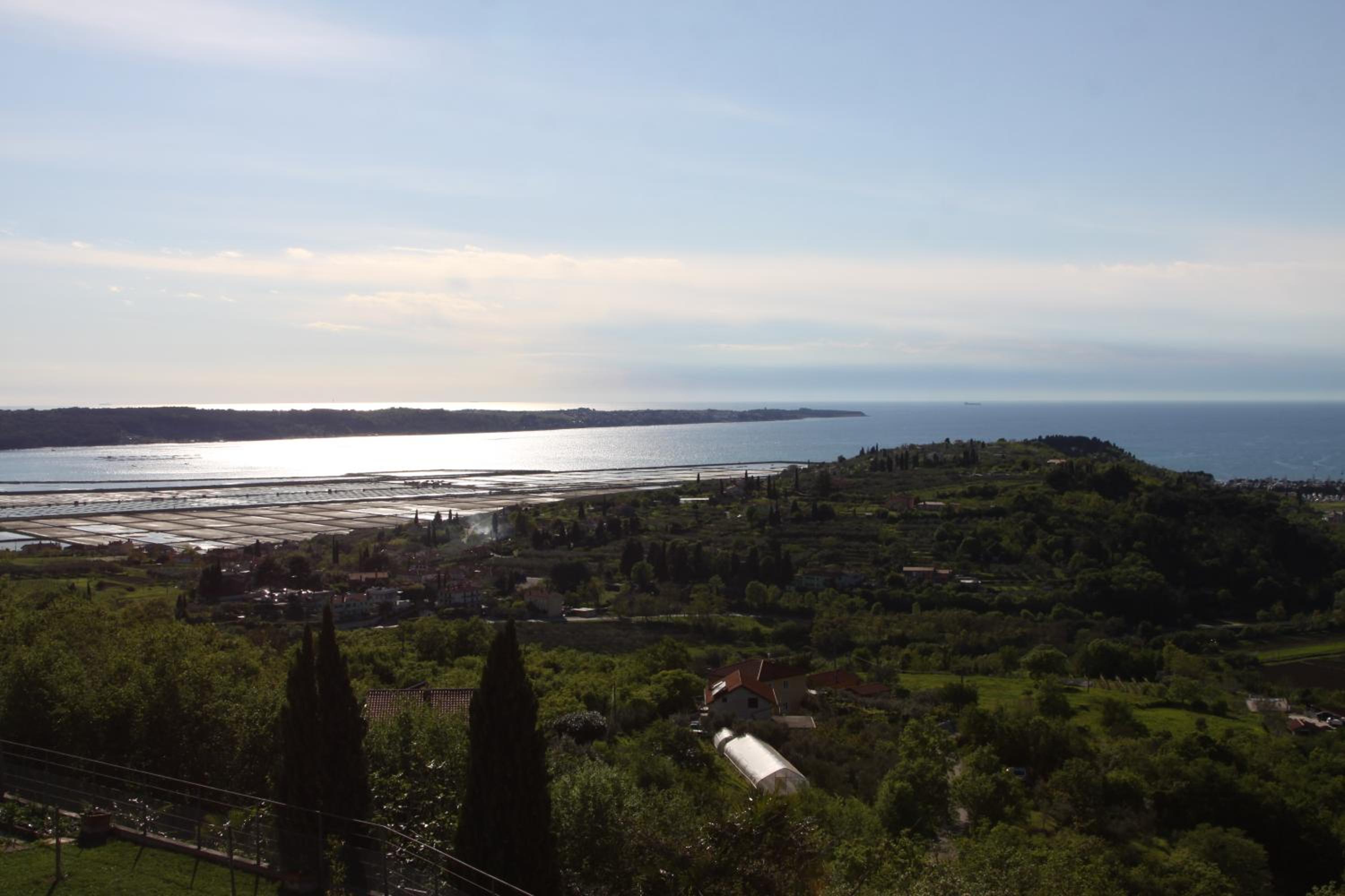 Apartma Viktorija view 4