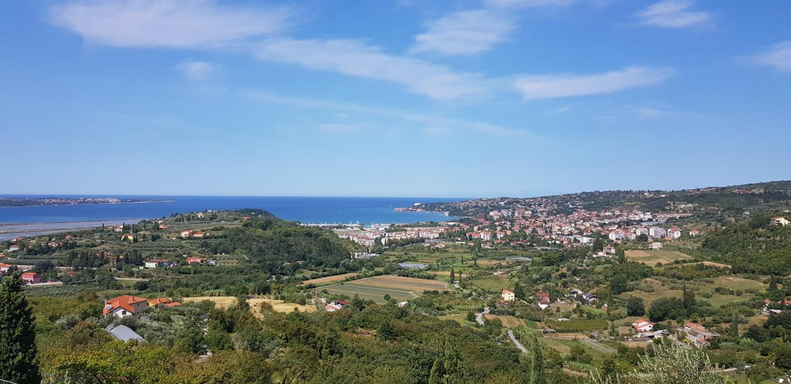 Apartma Viktorija view 5