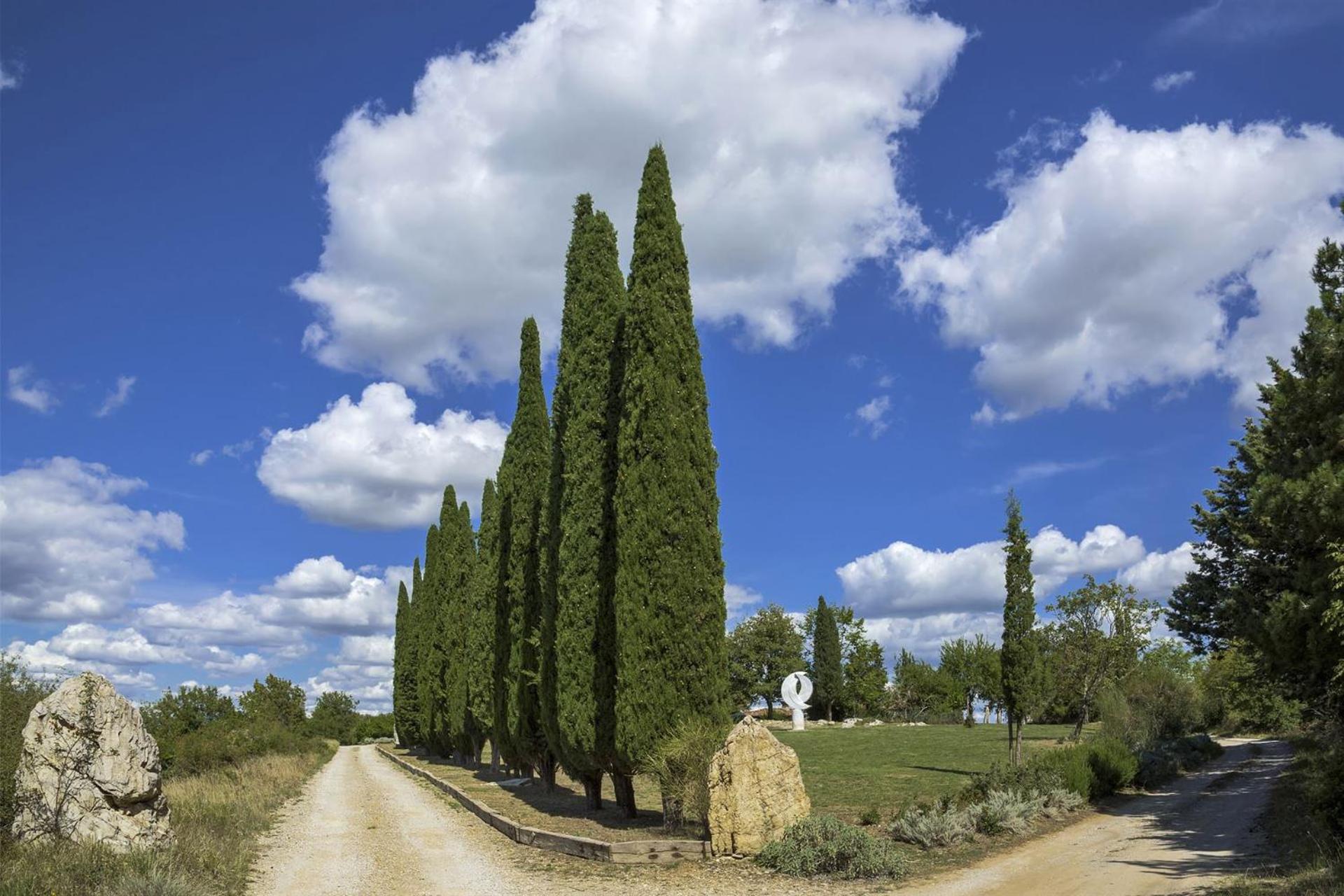 Casale Cipressi view 5