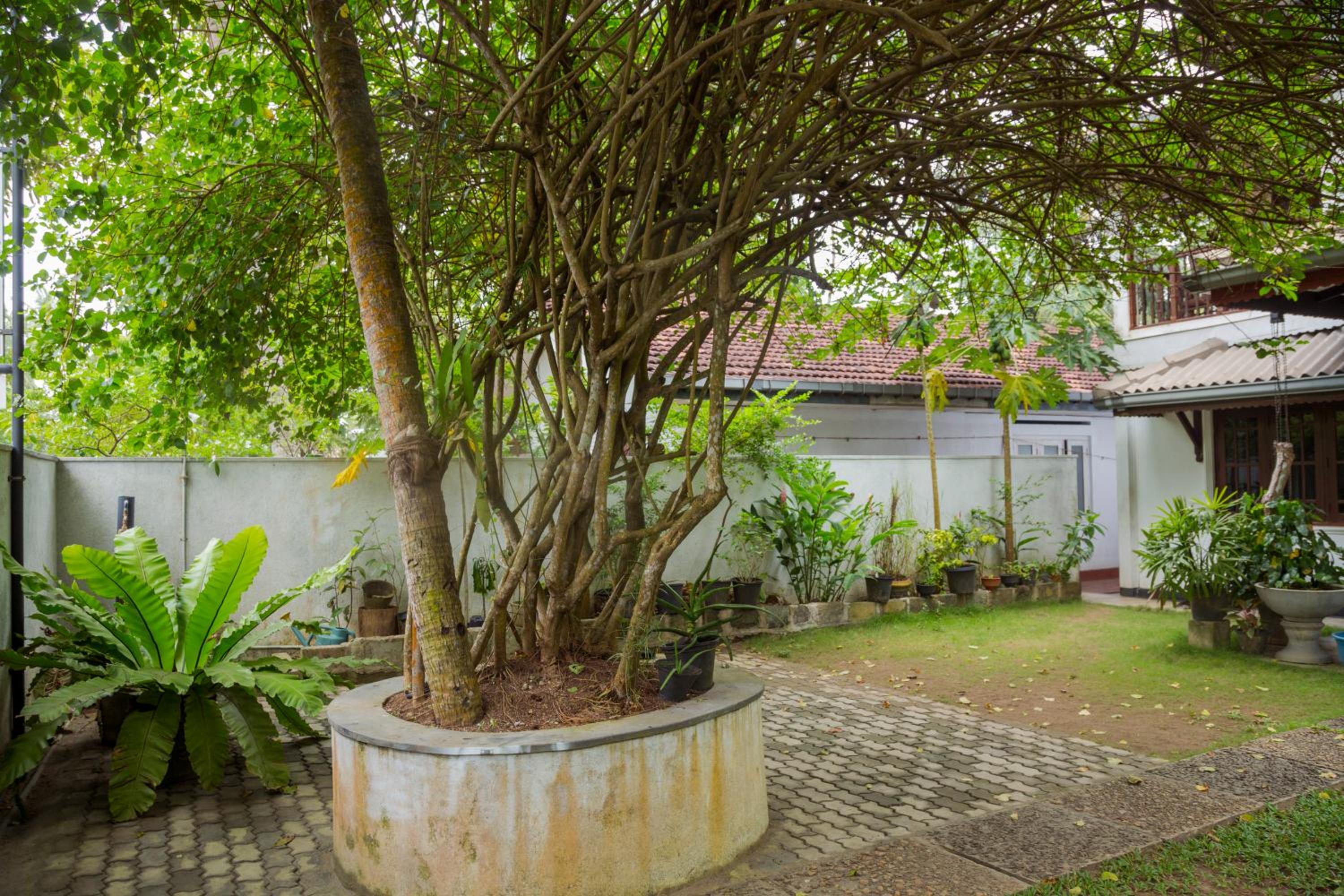 Uyanwatta Guest House