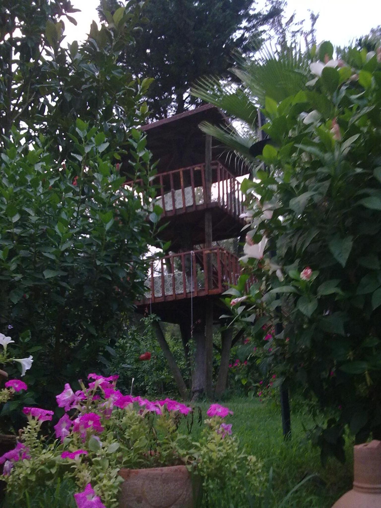 Photo 28