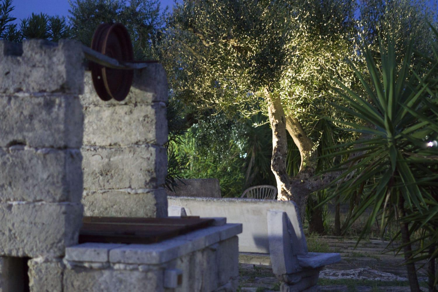 Photo 43