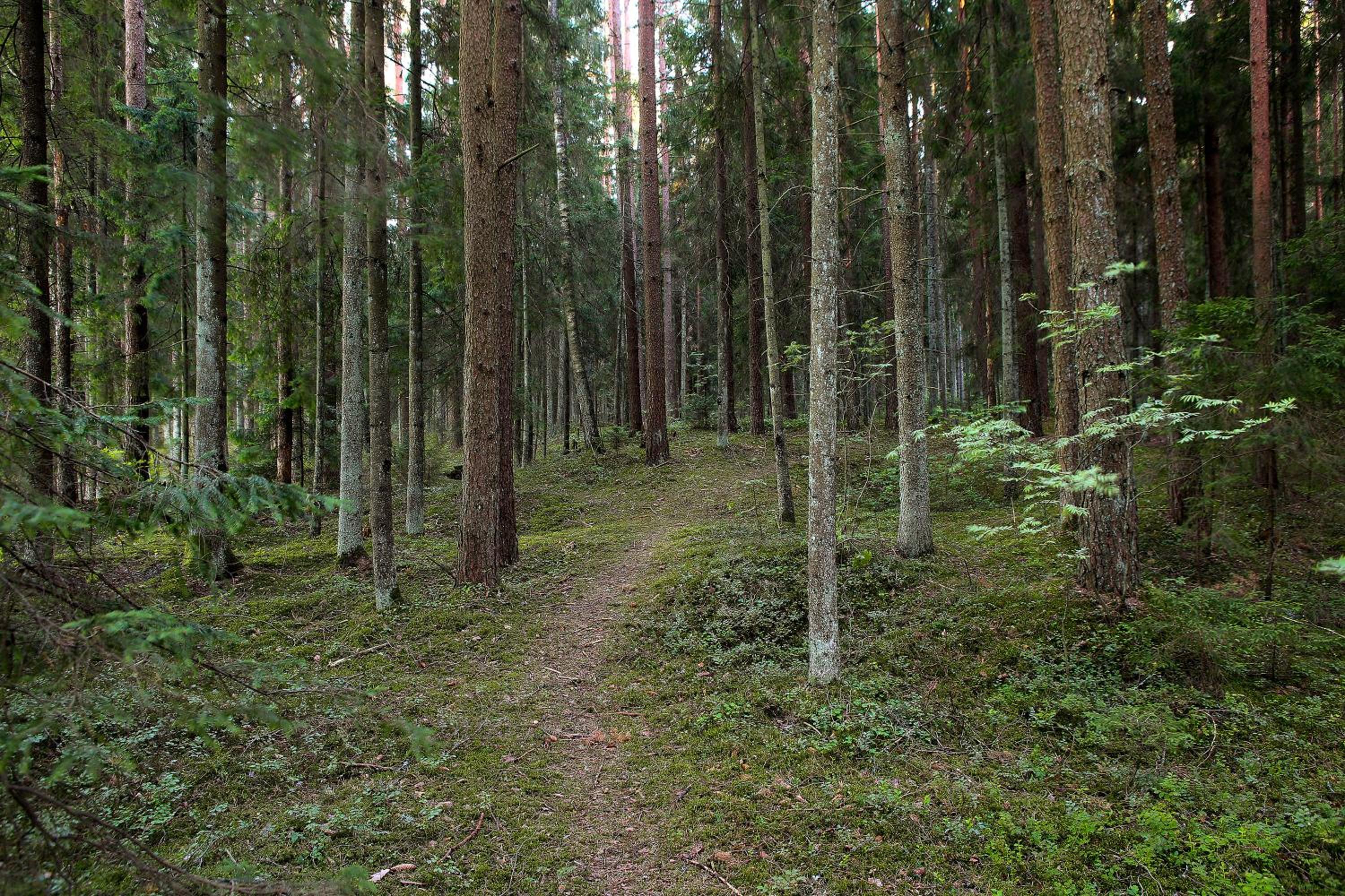 Photo 37