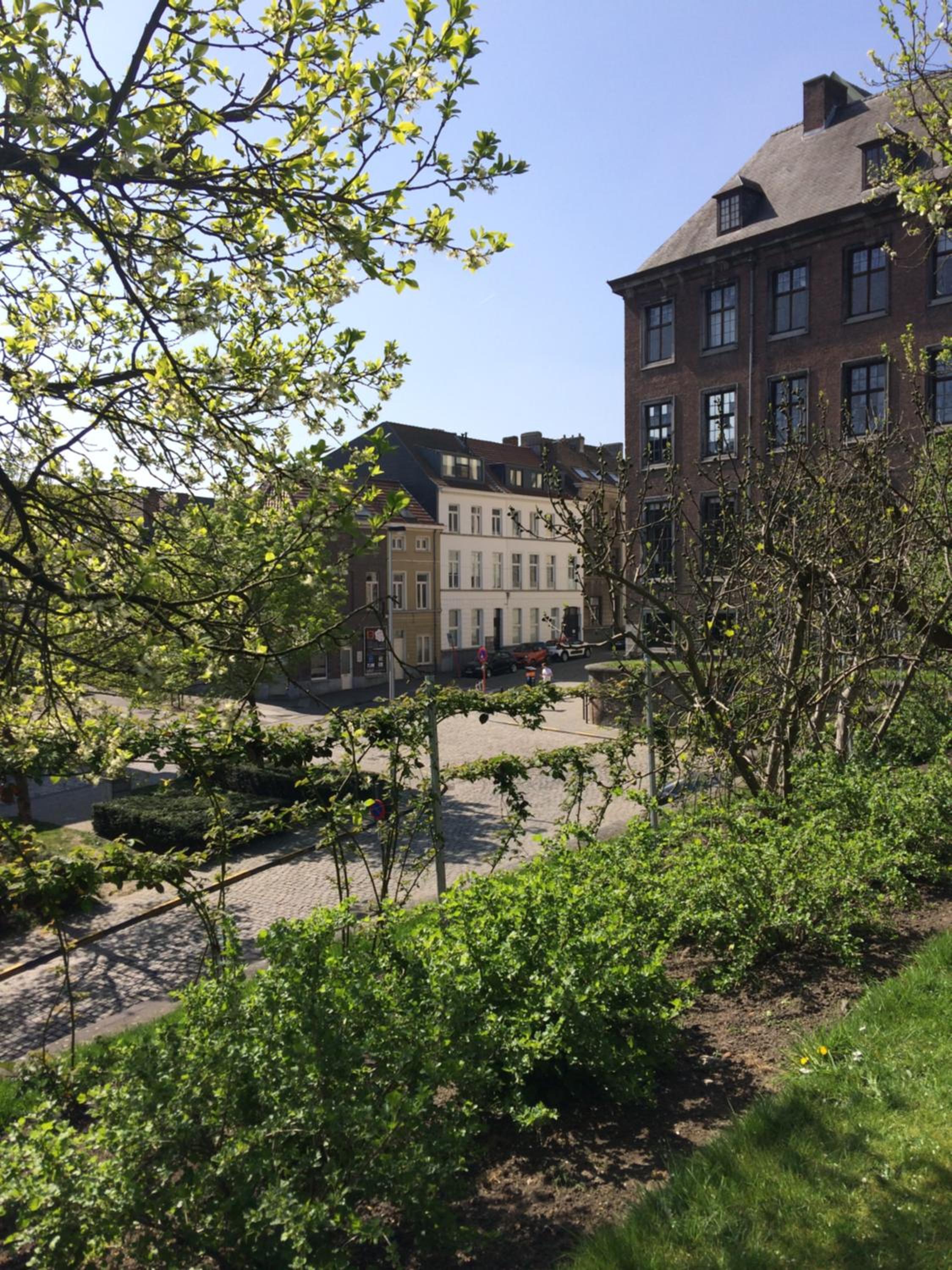 Designflats Gent - Image 2