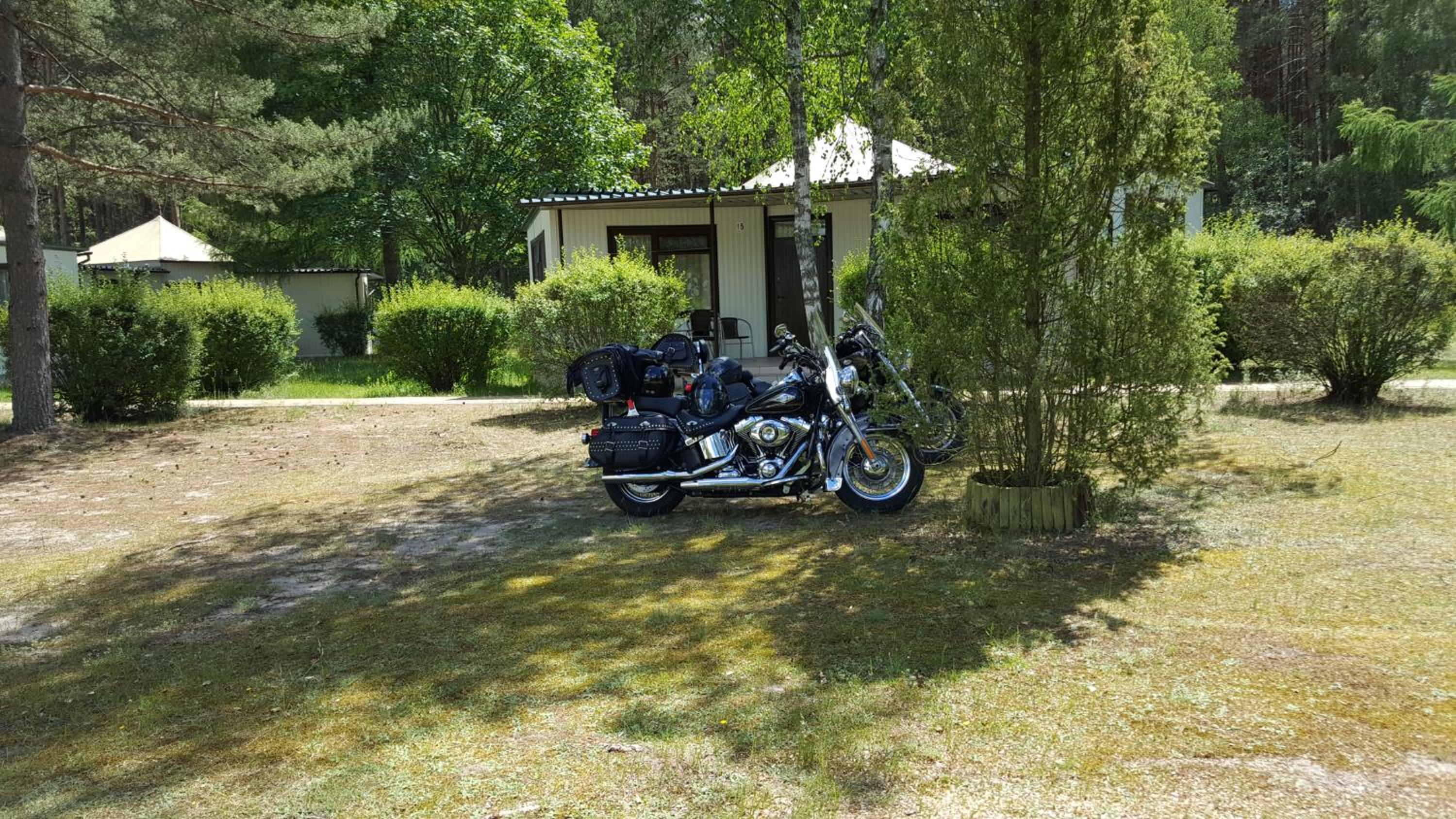 Photo 33