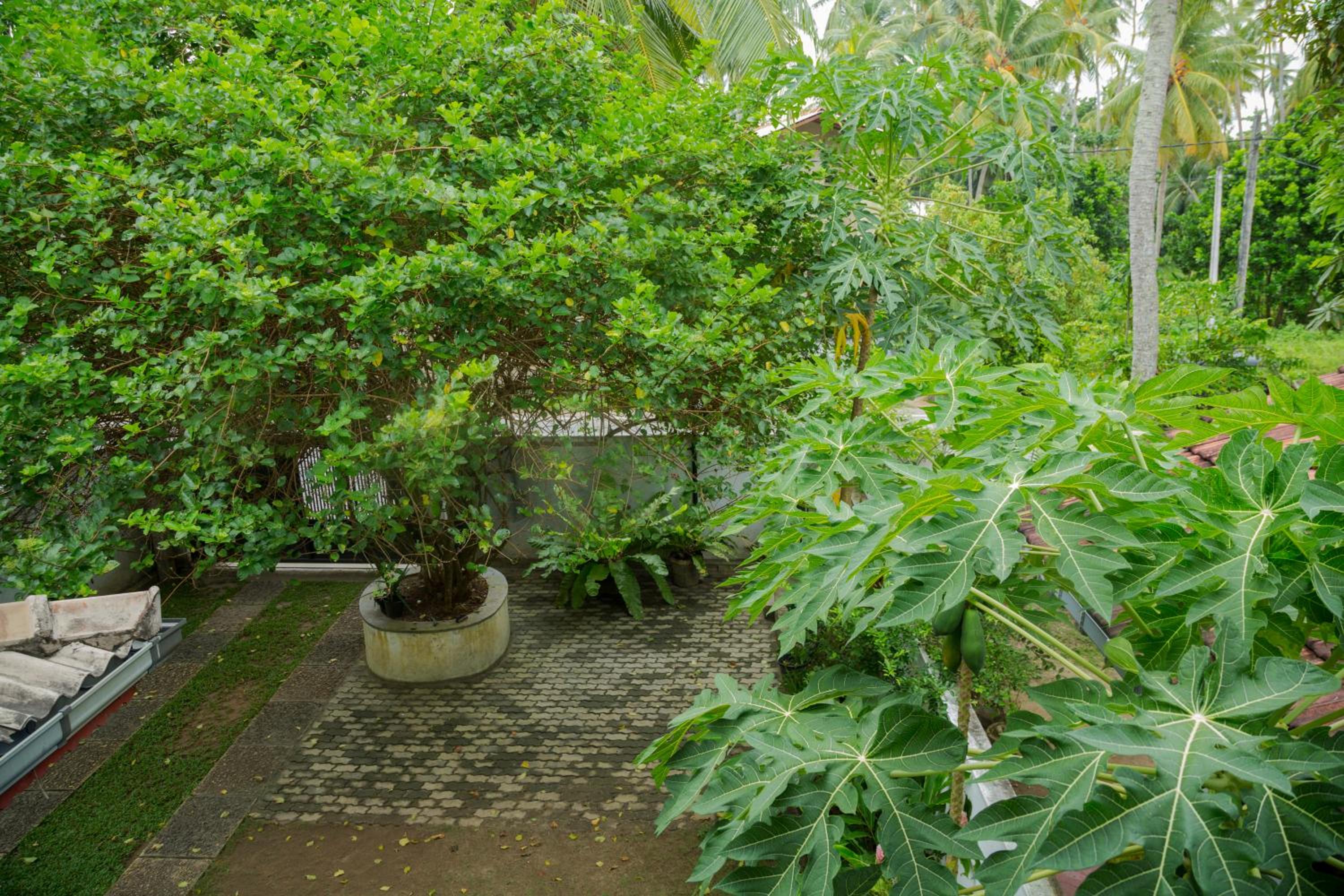 Uyanwatta Guest House