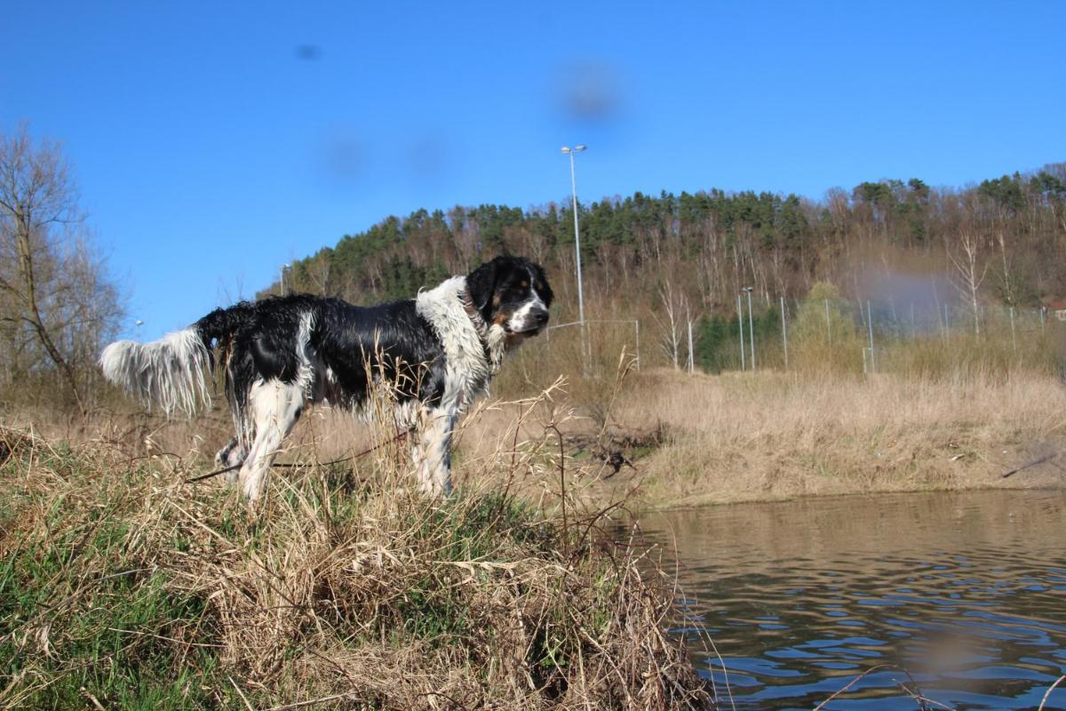 Photo 21