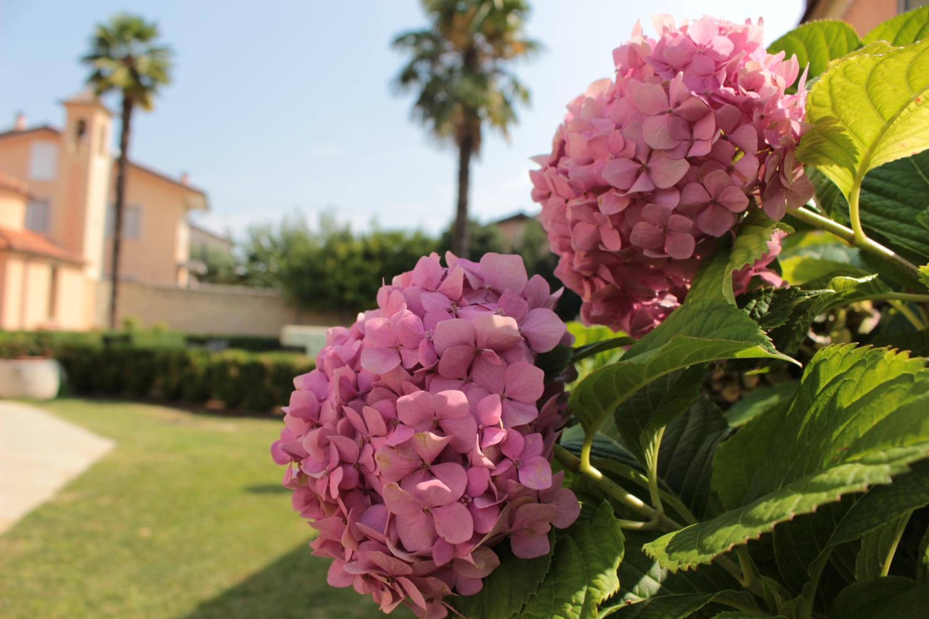 Agriturismo Villa Panigai