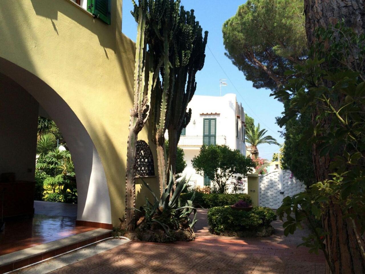 Villa immersa nel verde view 3