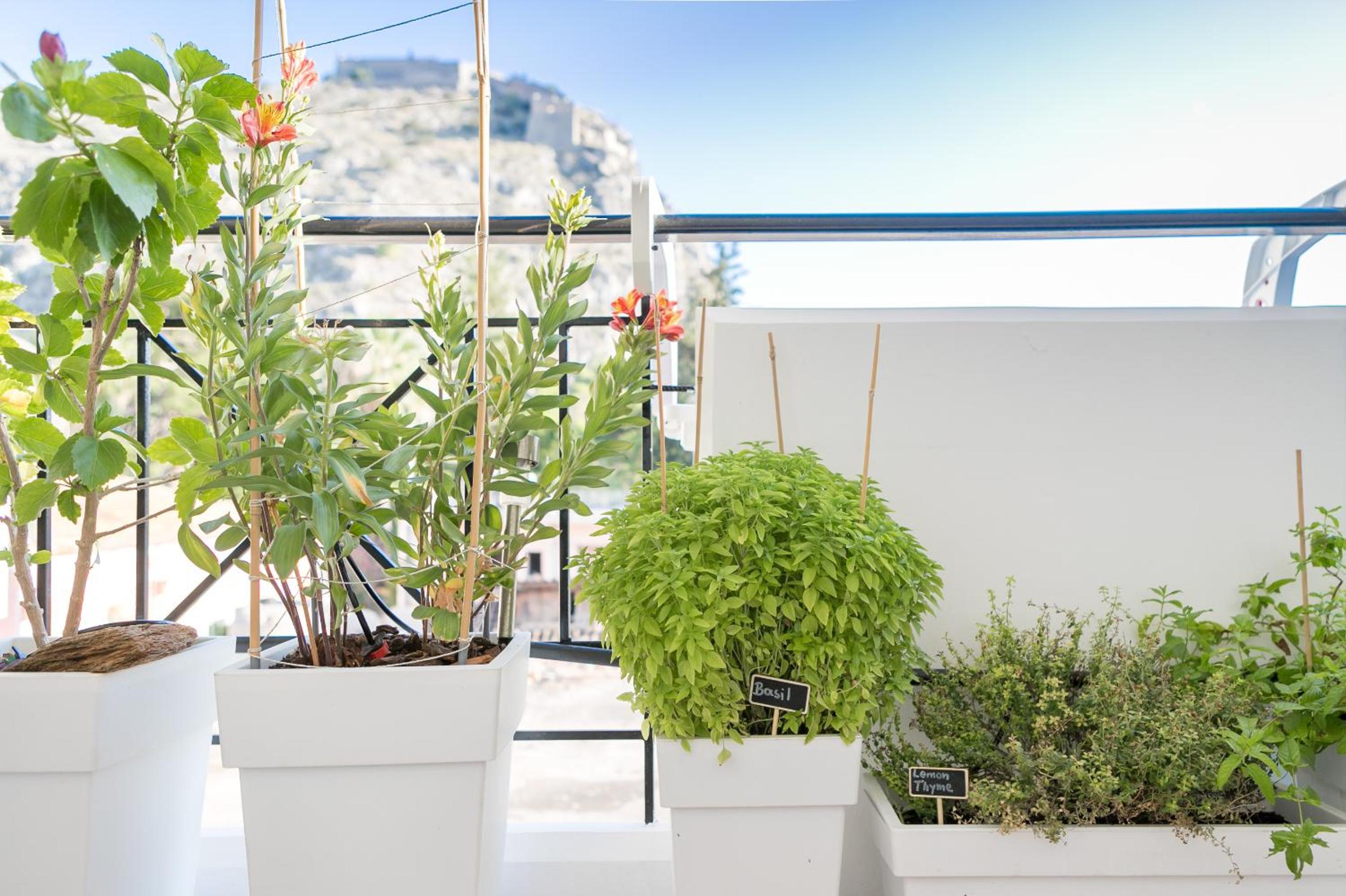 City apartment with private parking photo 5