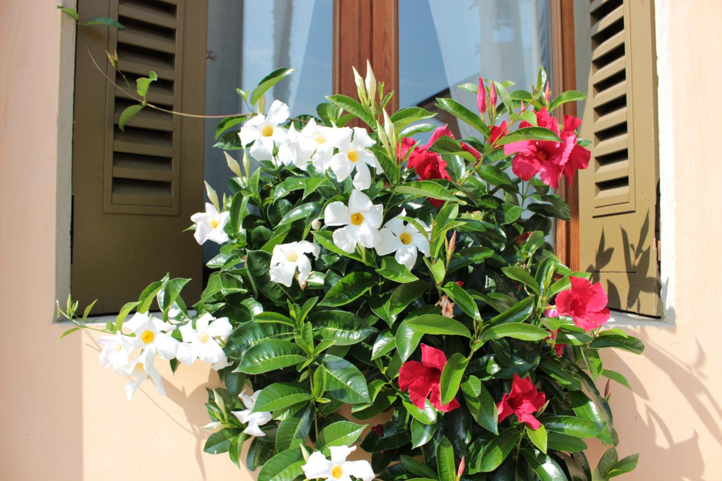 Agriturismo Villa Panigai