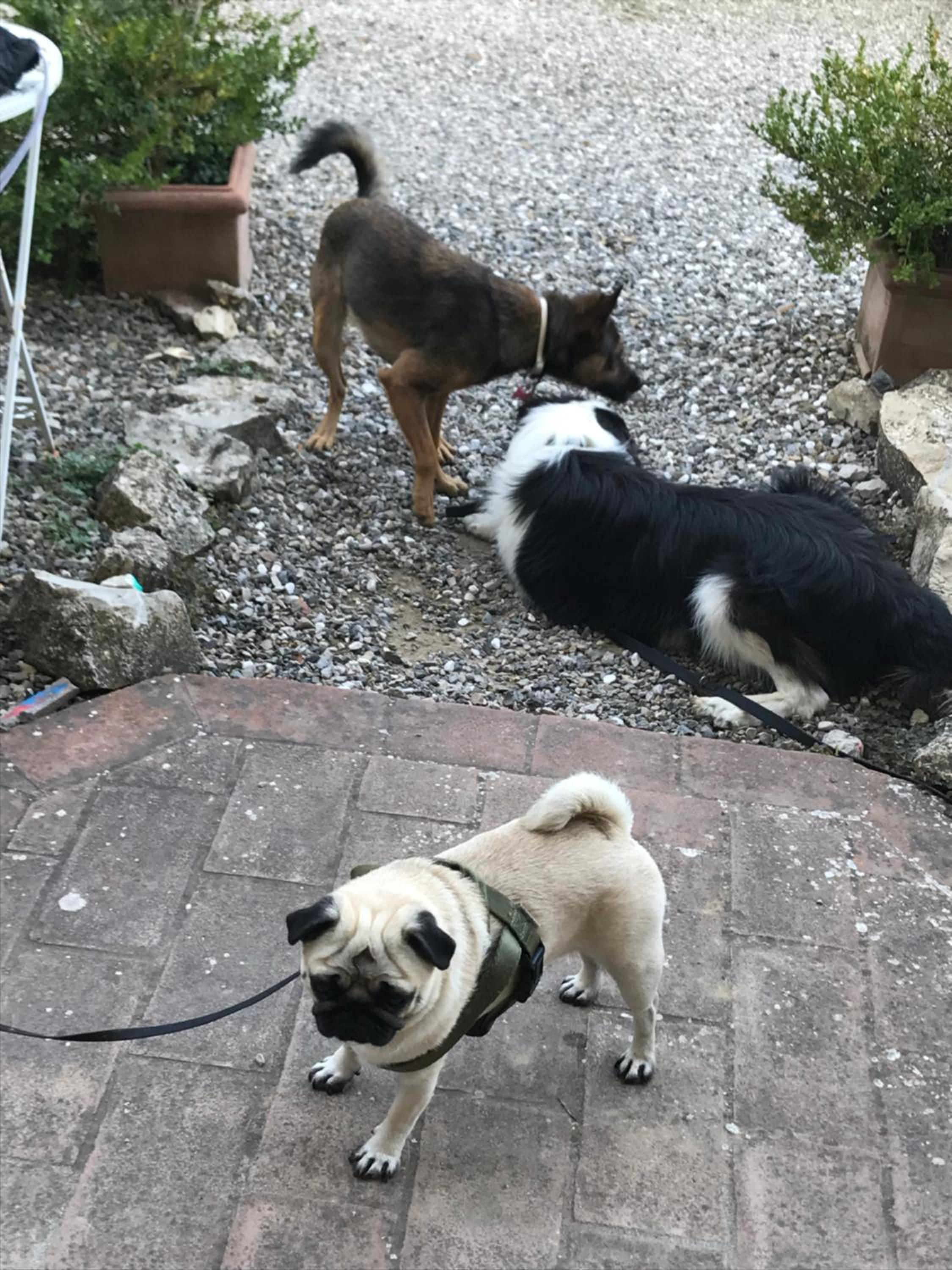 Residenzia Del Sogno