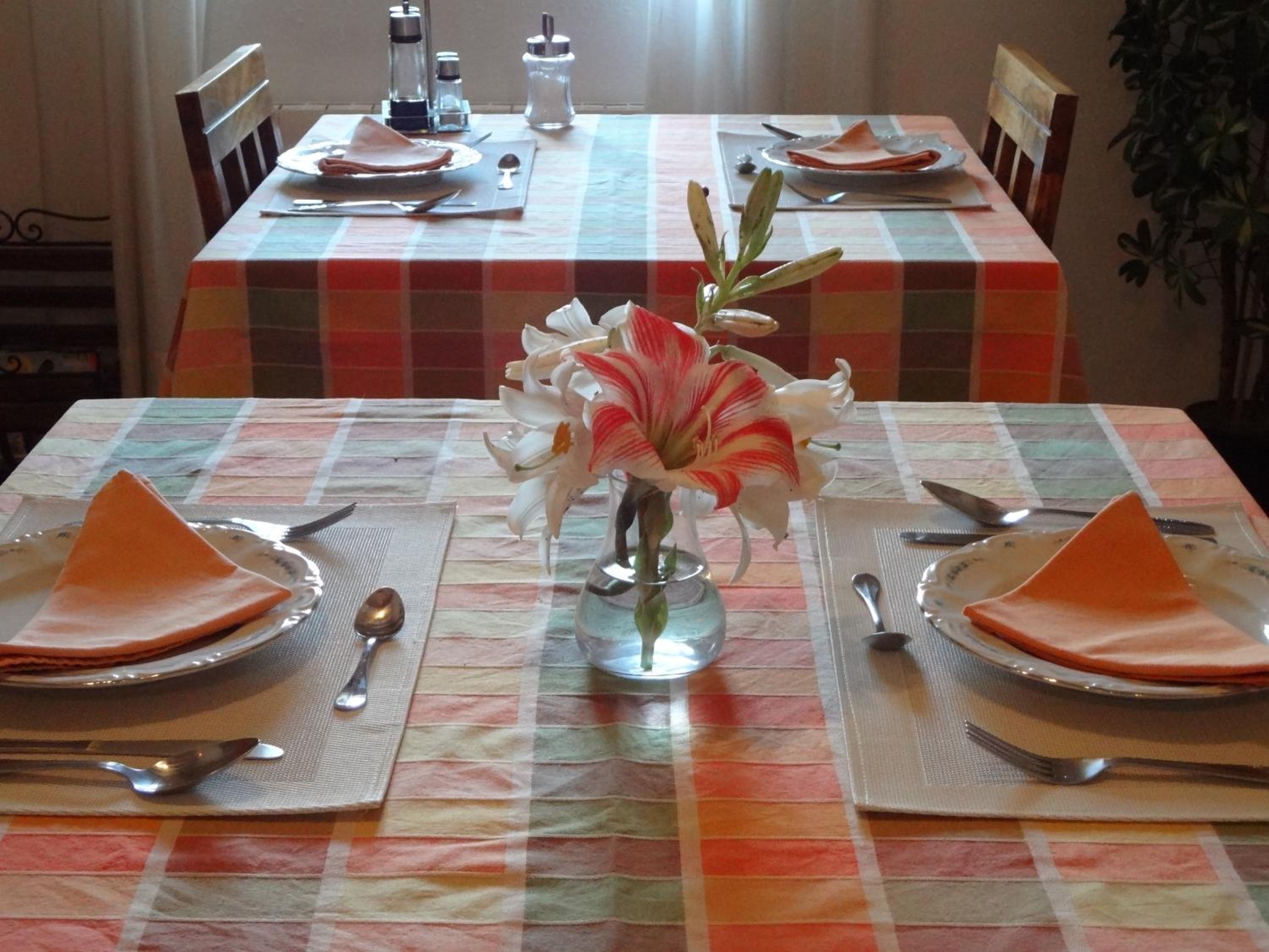 Agroturismo Sa Vinya d'en Palerm