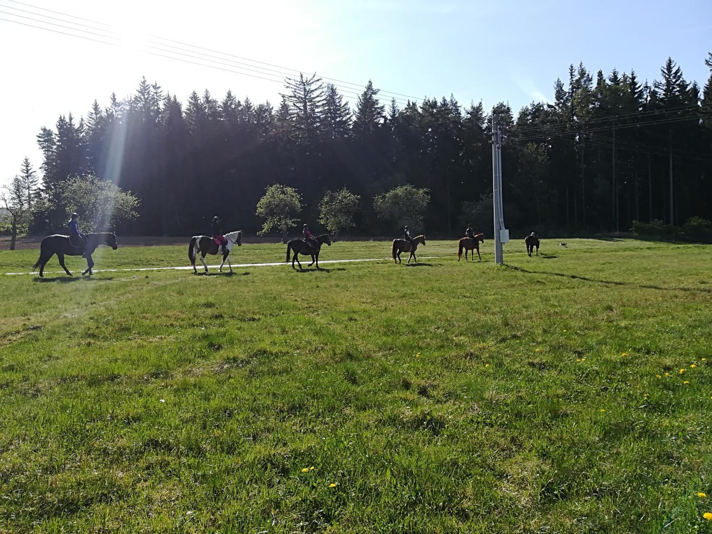 Farma Ranch Jelemek