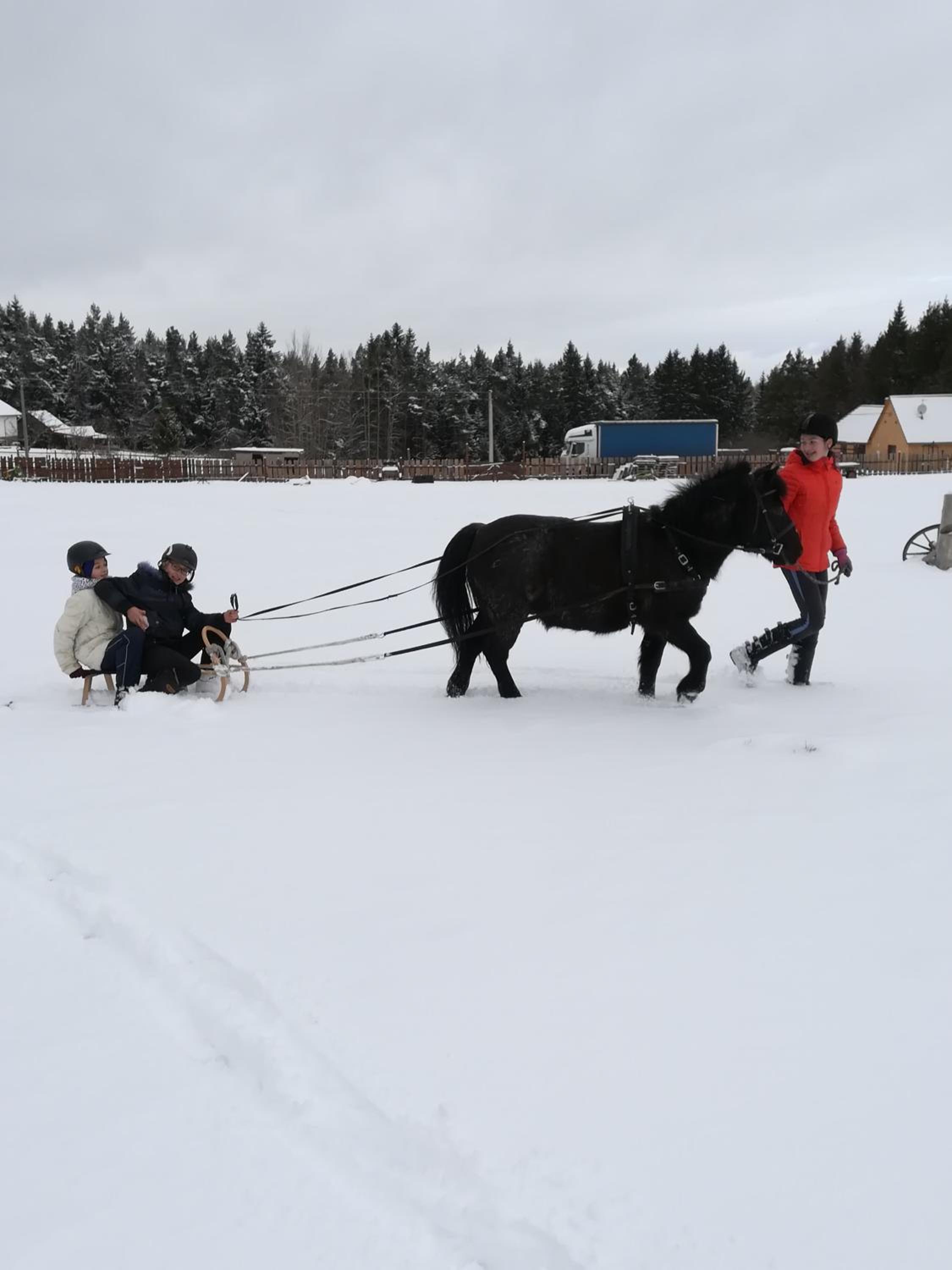 Farma Ranch Jelemek