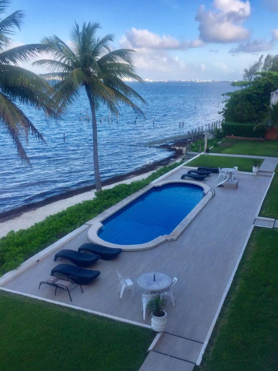 Flamingo Paradise Front by Cielo Maya